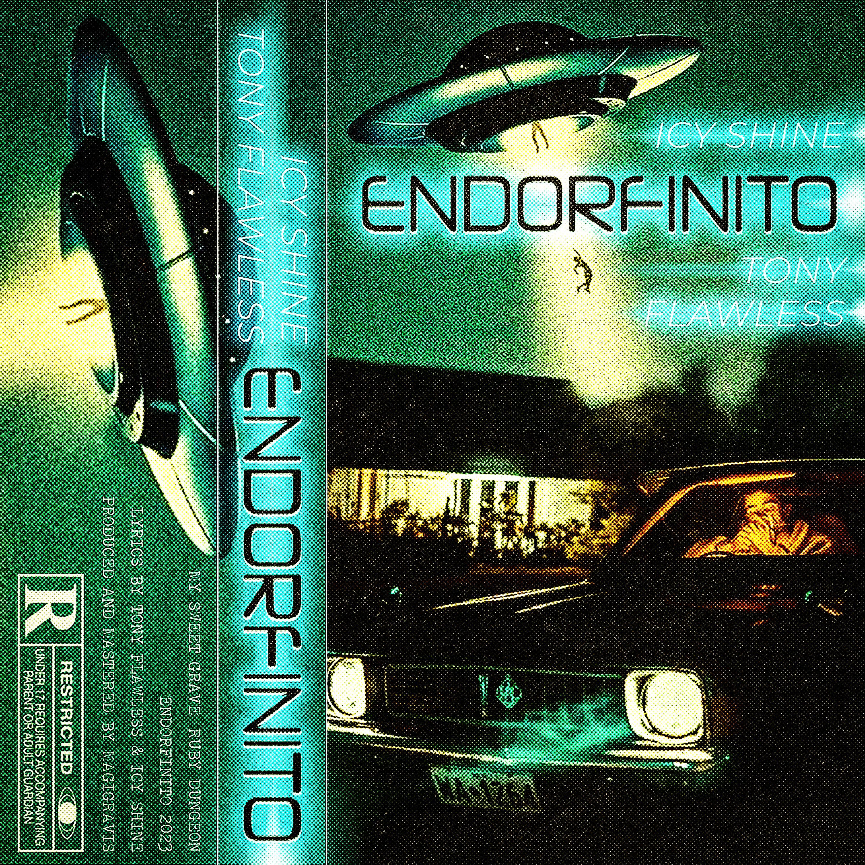 Постер альбома Endorfinito