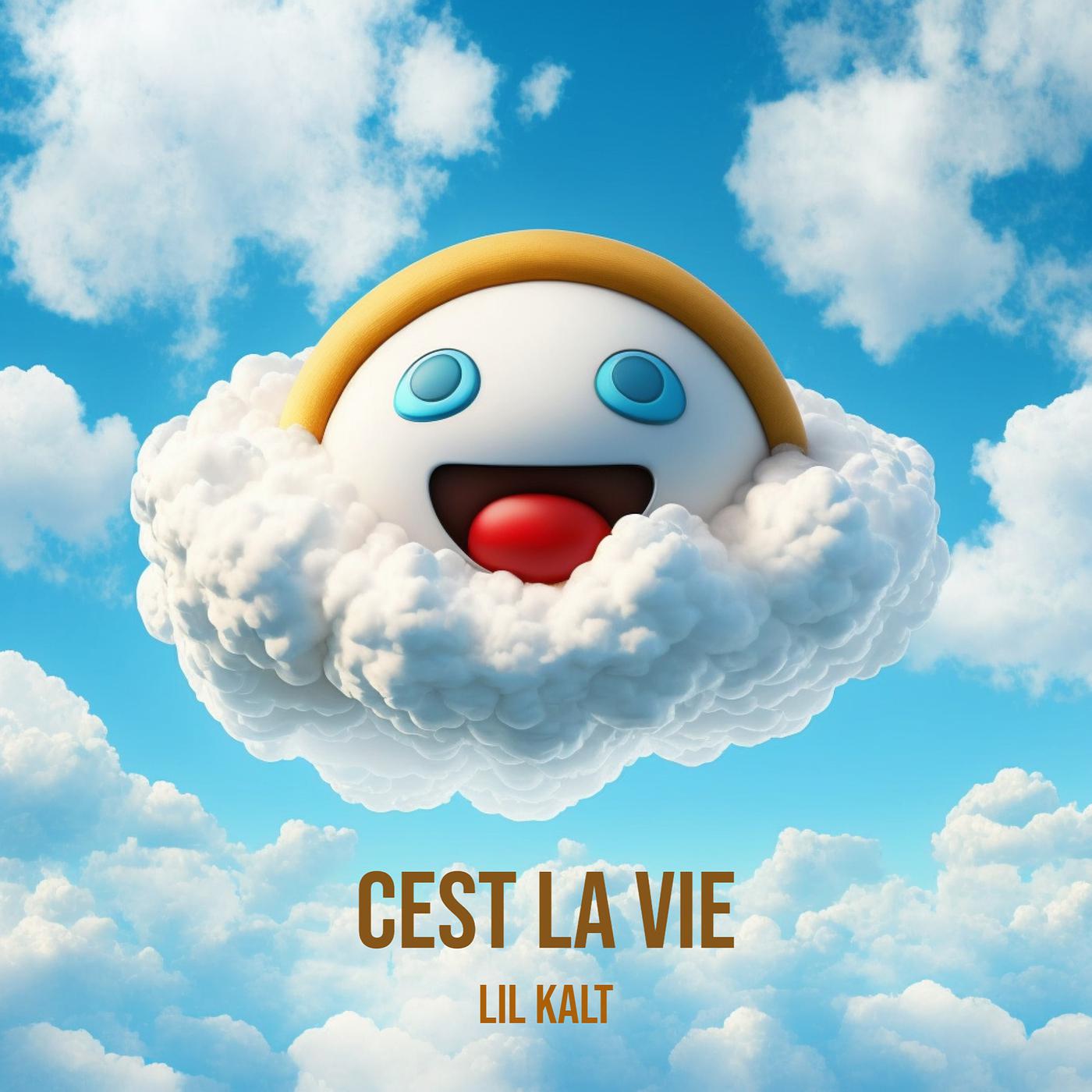 Постер альбома Cest La Vie