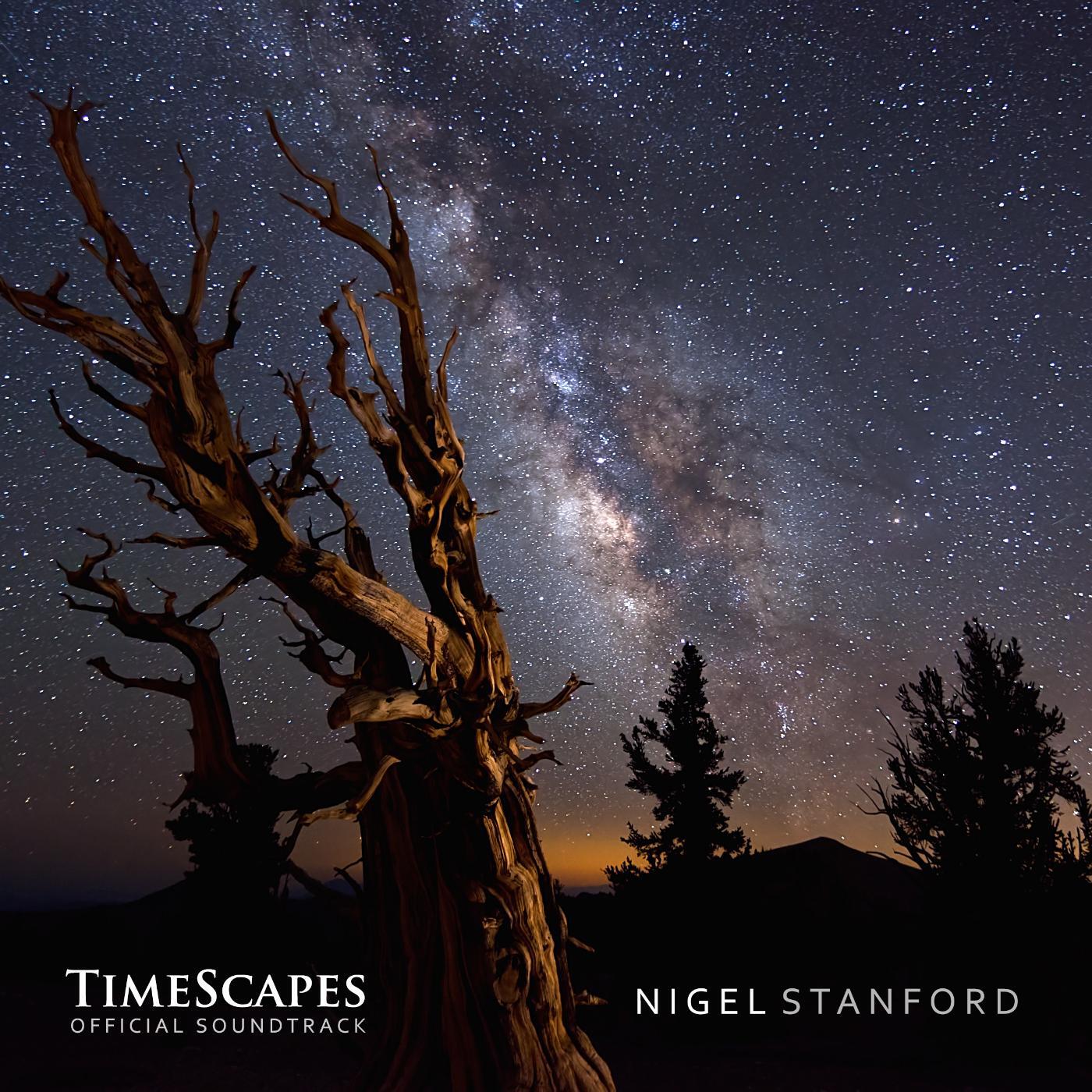 Nigel Stanford - Forest Choirs