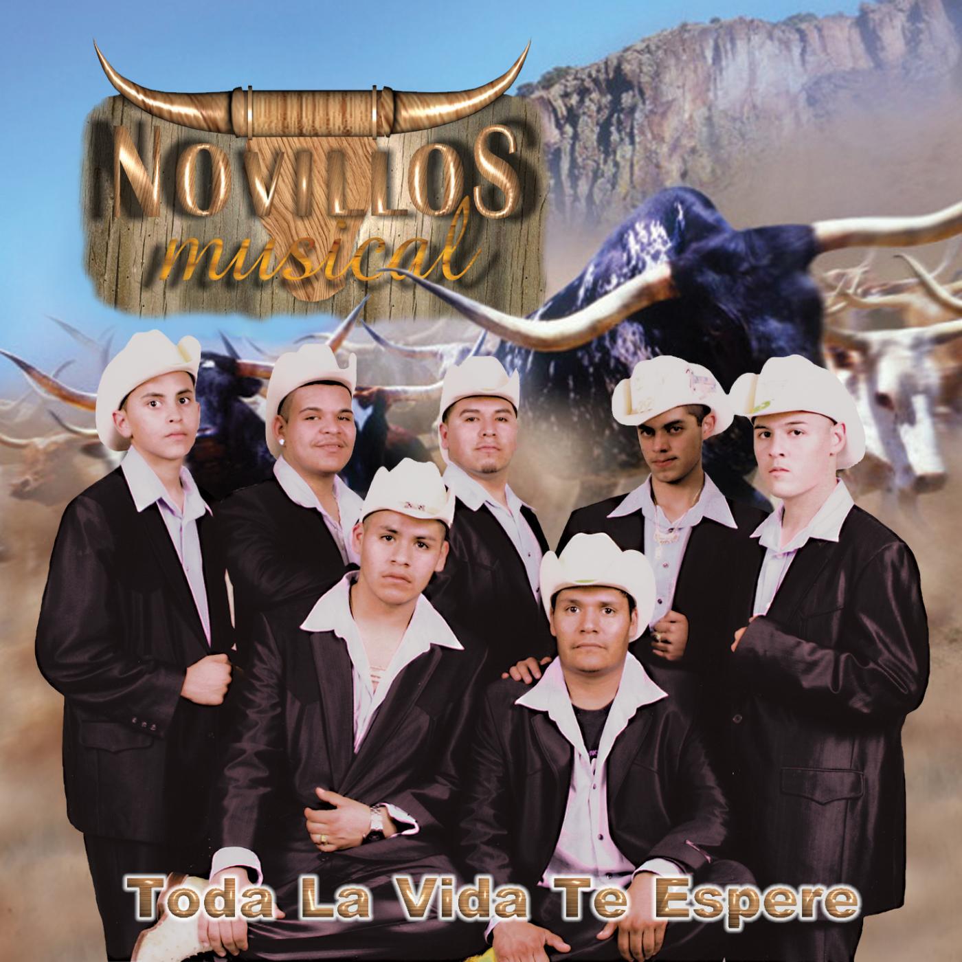 NOVILLOS MUSICAL - Abeja Miope En Remix