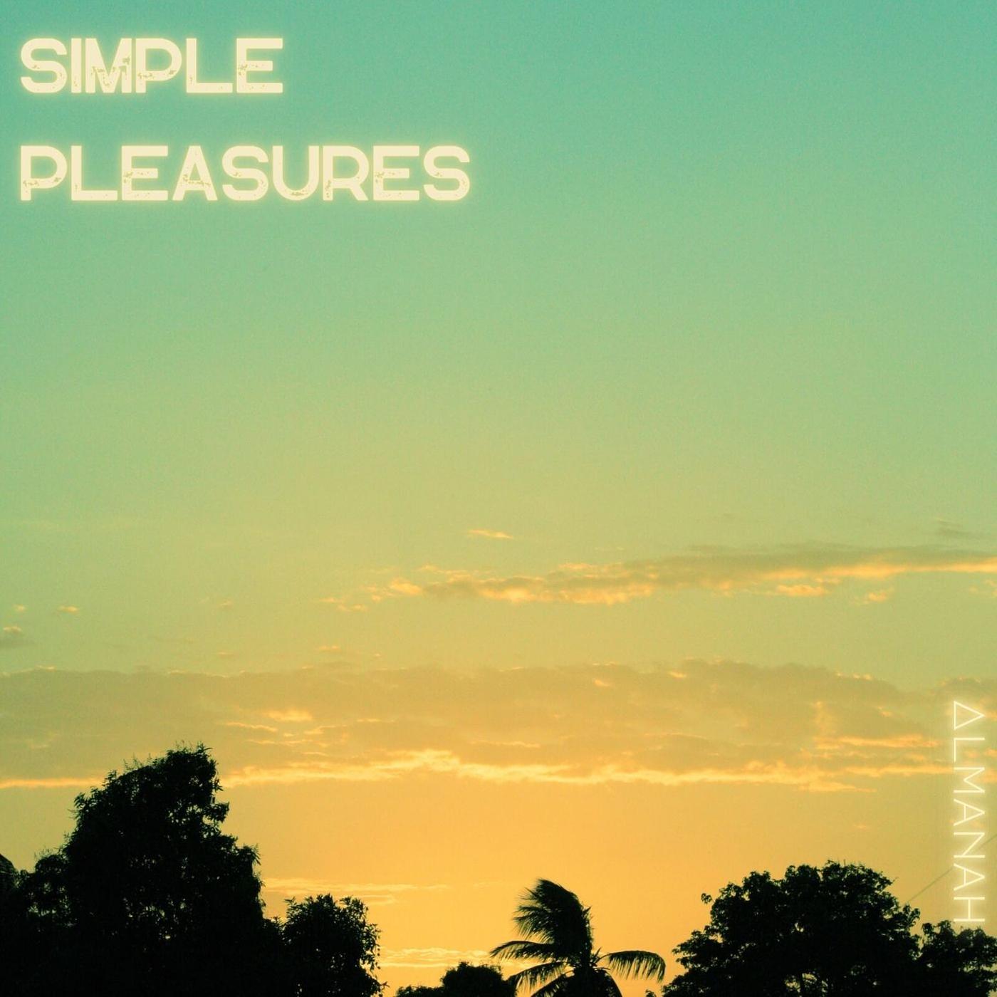 Постер альбома Simple Pleasure