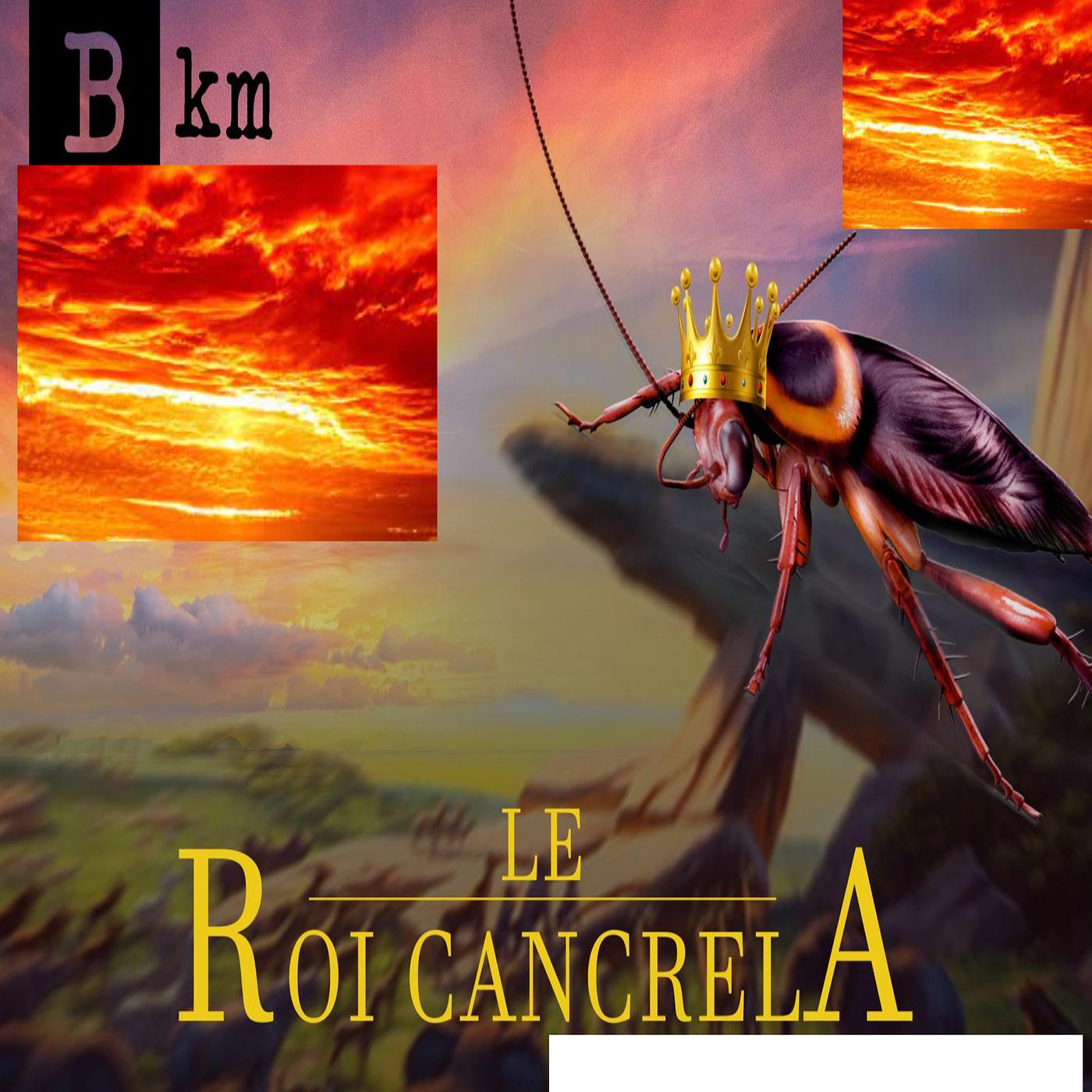 Постер альбома Le Roi Cancrela