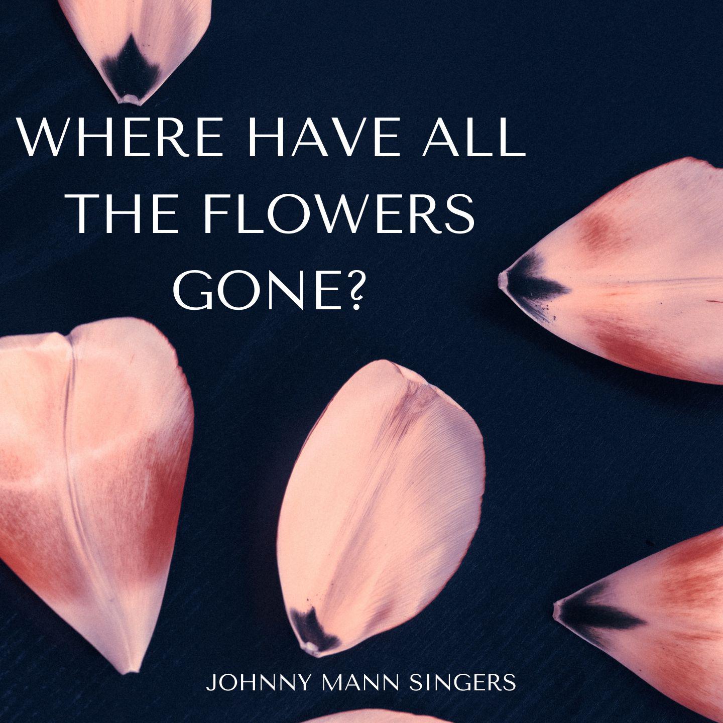 Постер альбома Where Have All The Flowers Gone? - Johnny Mann Singers