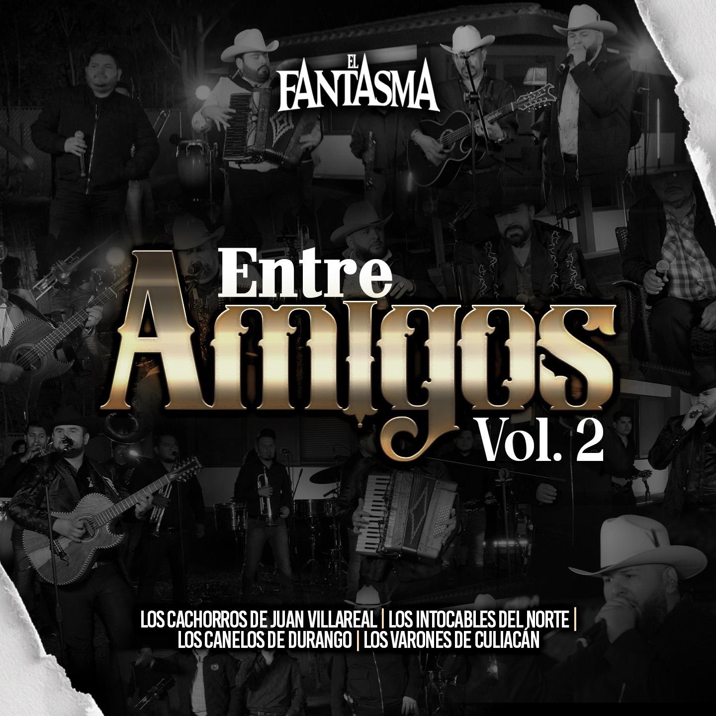 Постер альбома Entre Amigos, Vol.2