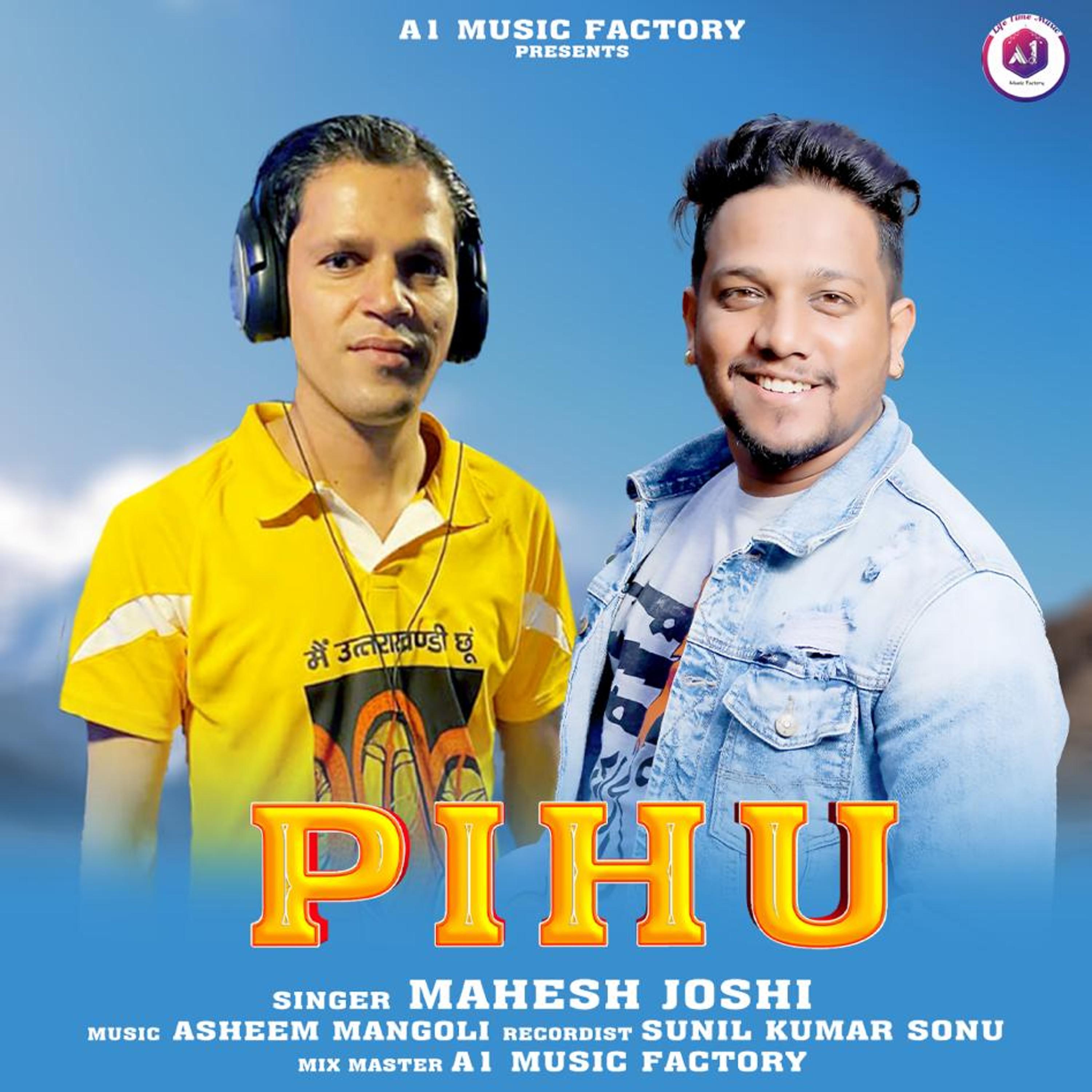 Постер альбома Pihu