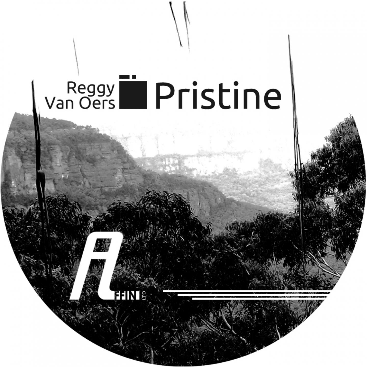 Постер альбома Pristine