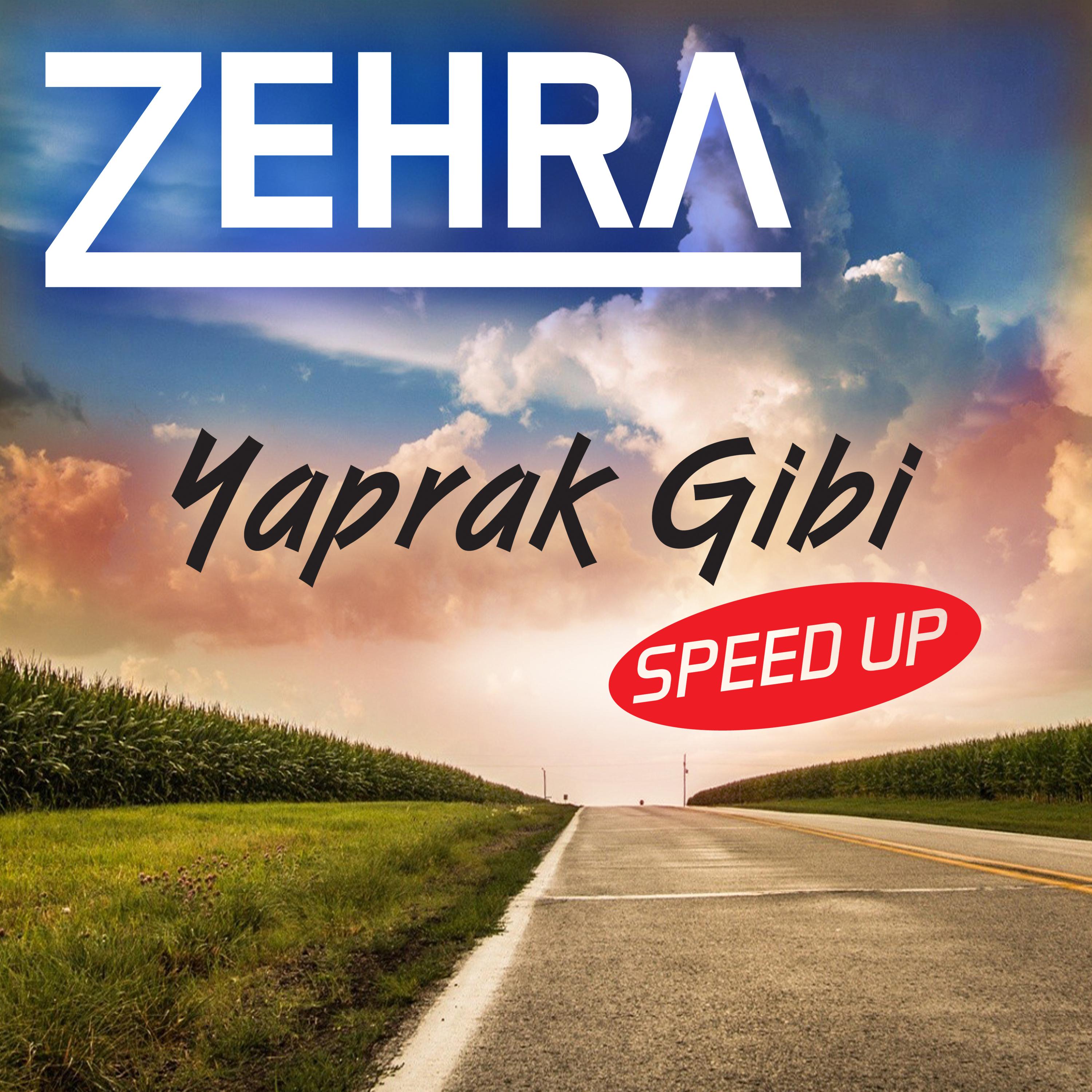 Постер альбома Yaprak Gibi