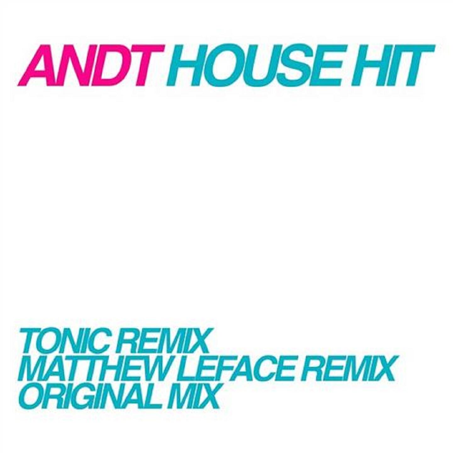 Andt - House Hit