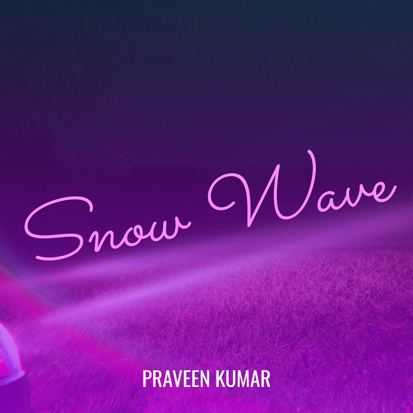 Постер альбома Snow Wave