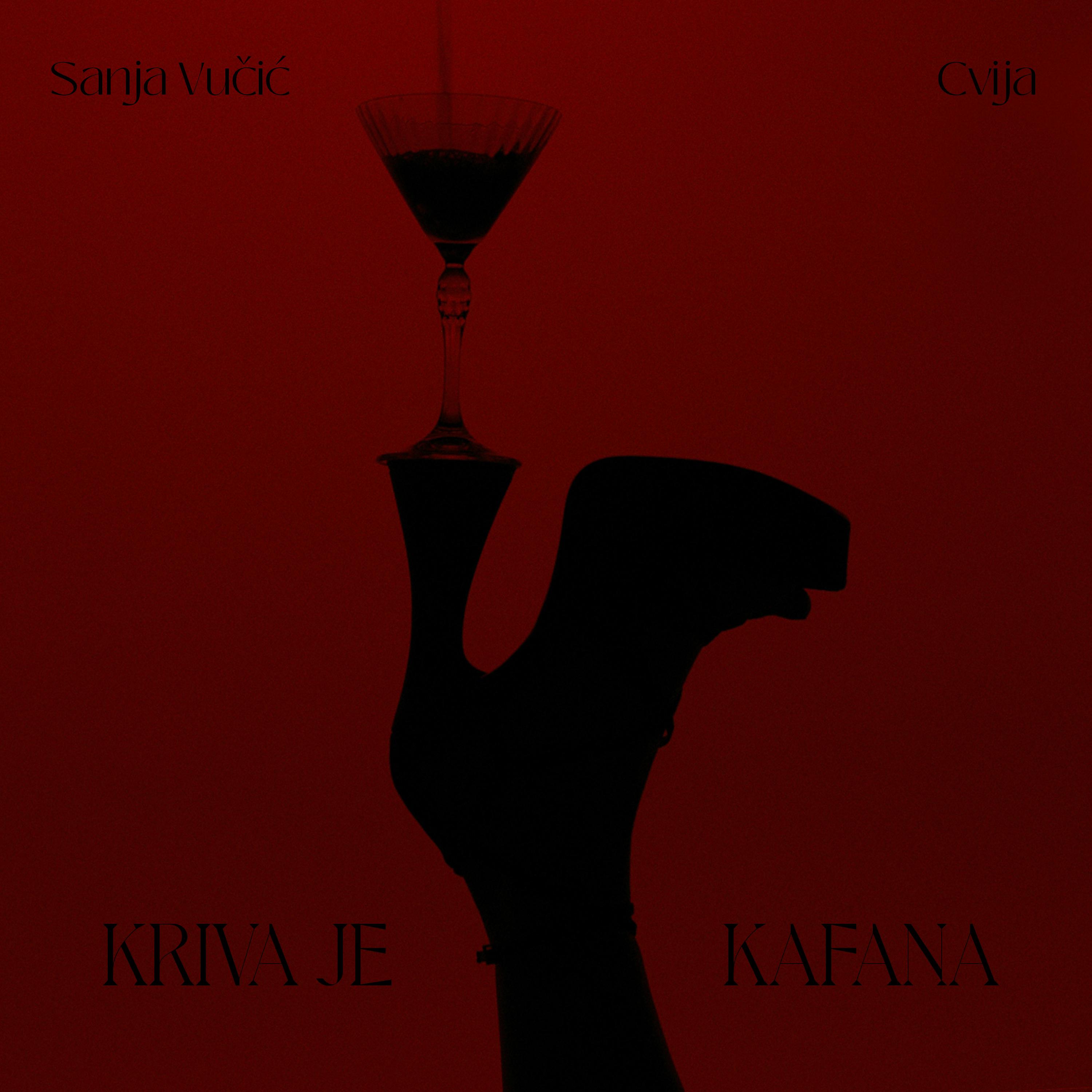 Постер альбома Kriva je kafana