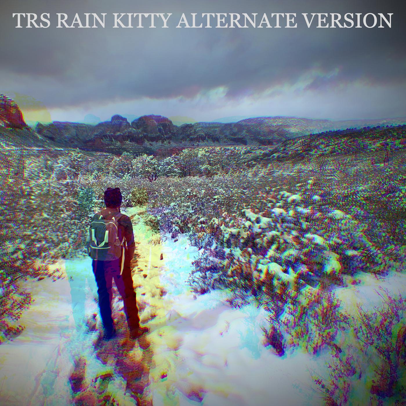 Постер альбома Rain Kitty - Alternate Version