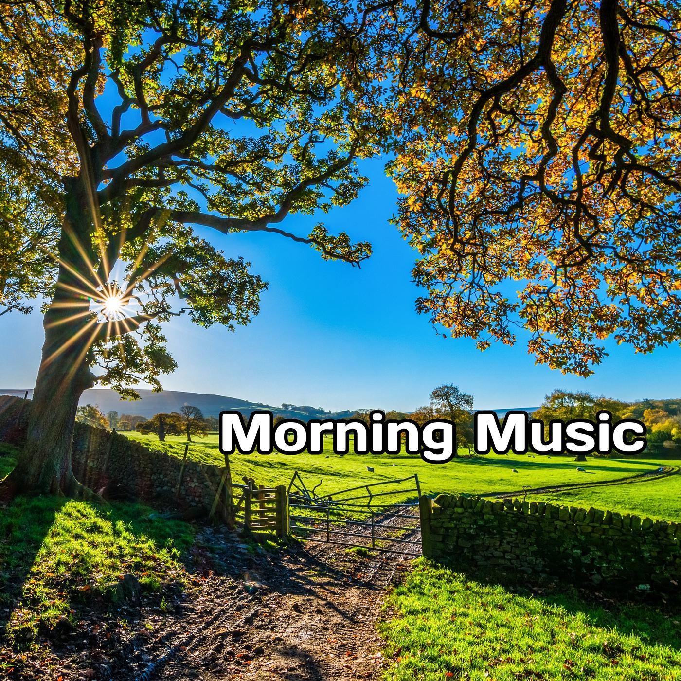 Постер альбома Morning Music