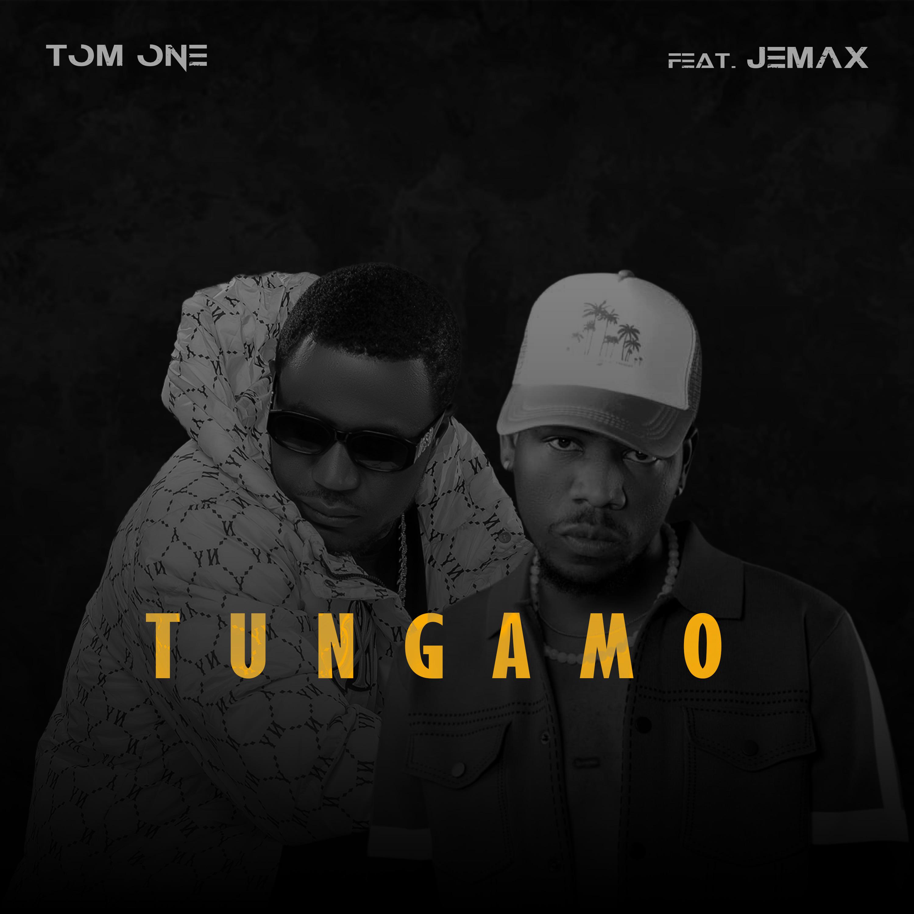 Постер альбома Tungamo