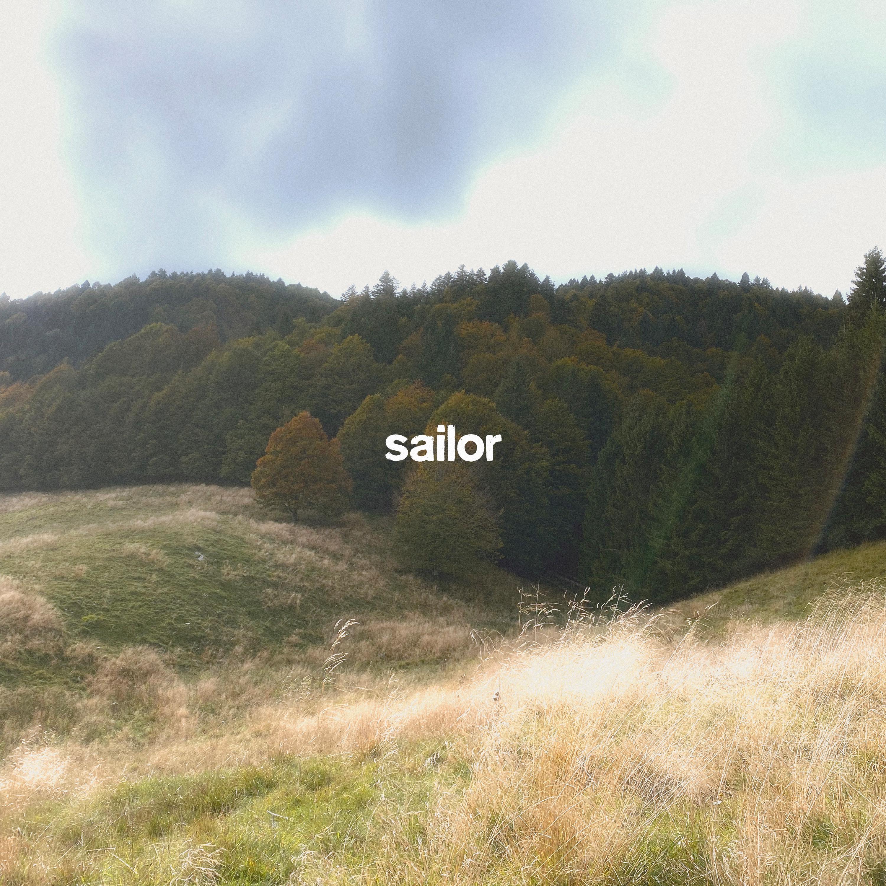 Постер альбома Sailor