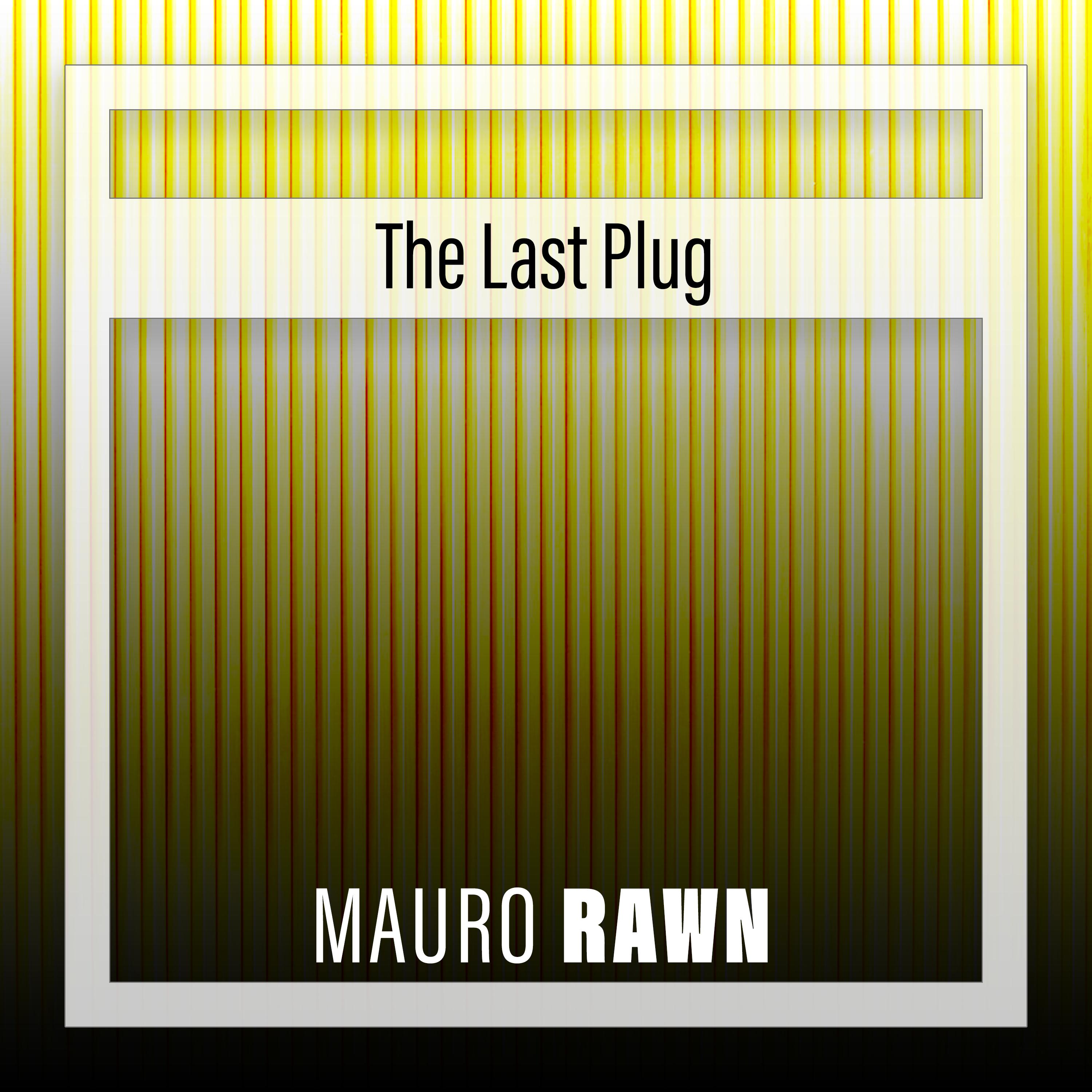 Постер альбома The Last Plug
