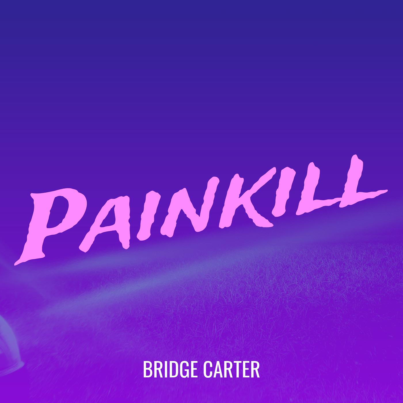 Постер альбома Painkill