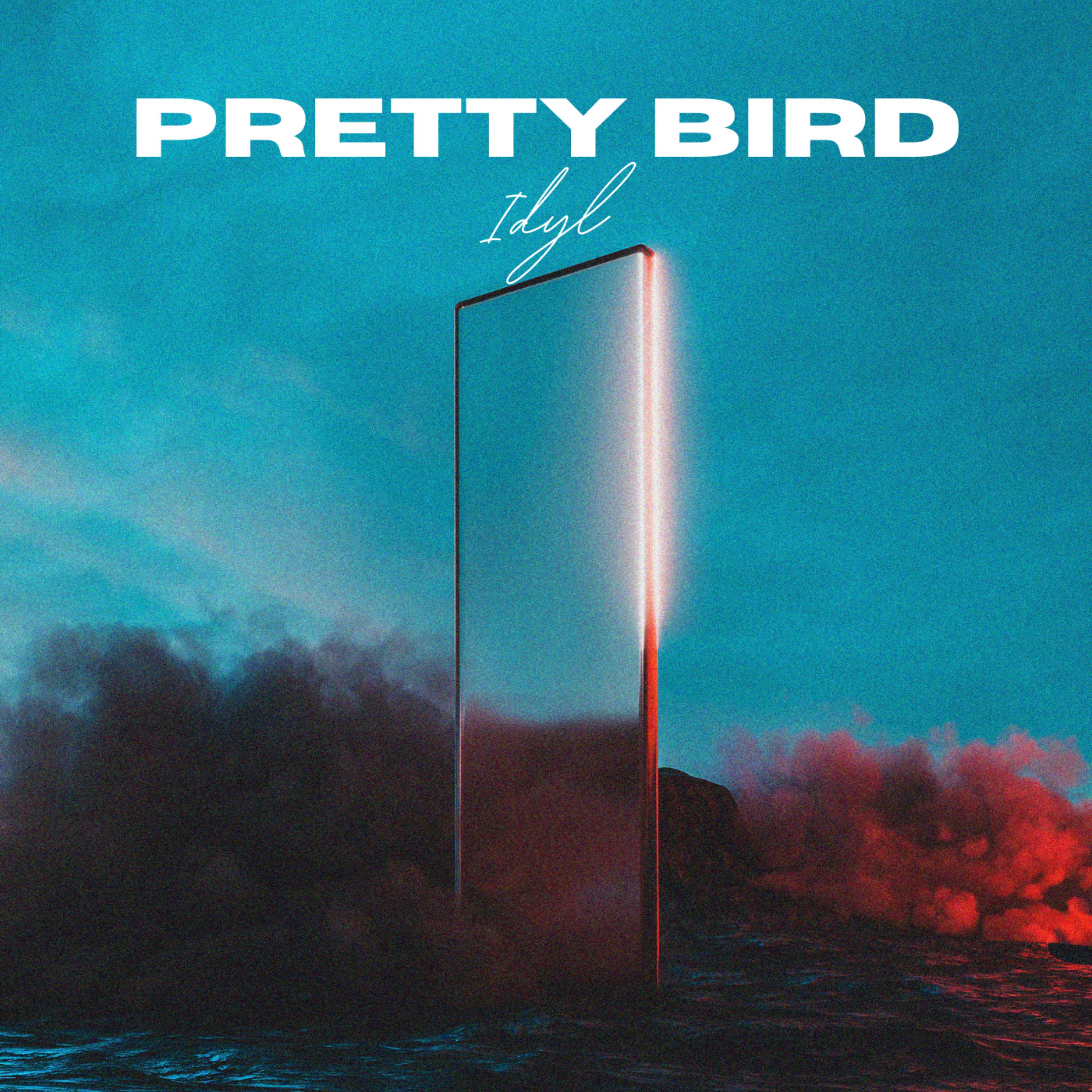 Постер альбома Pretty Bird