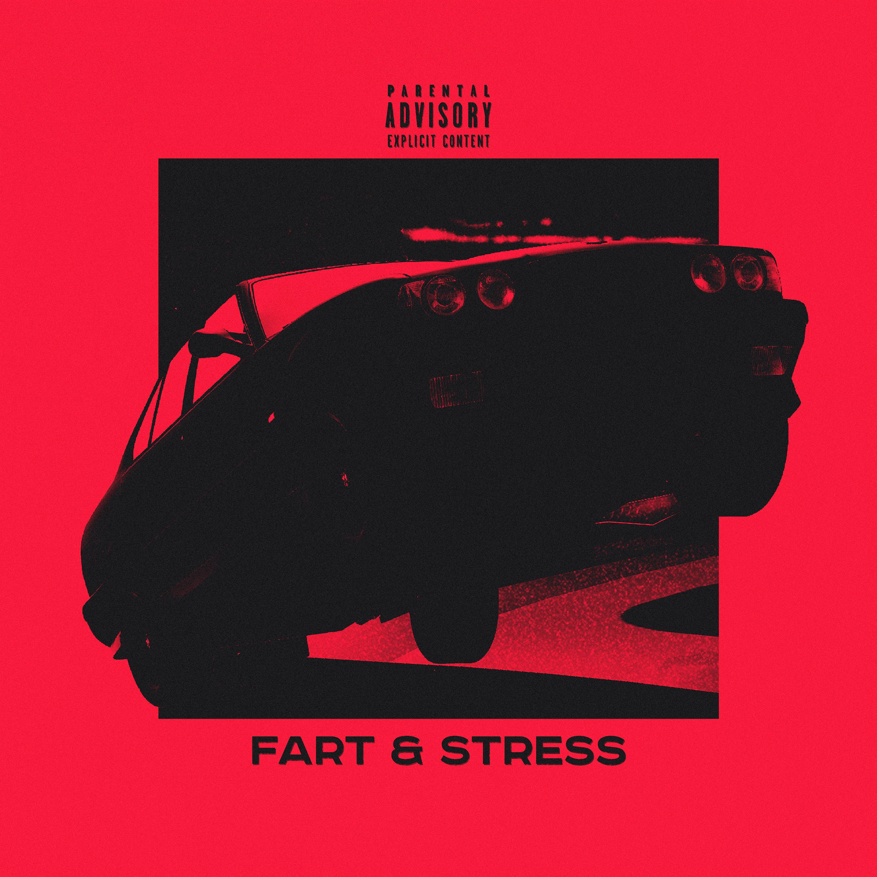 Постер альбома FART & STRESS