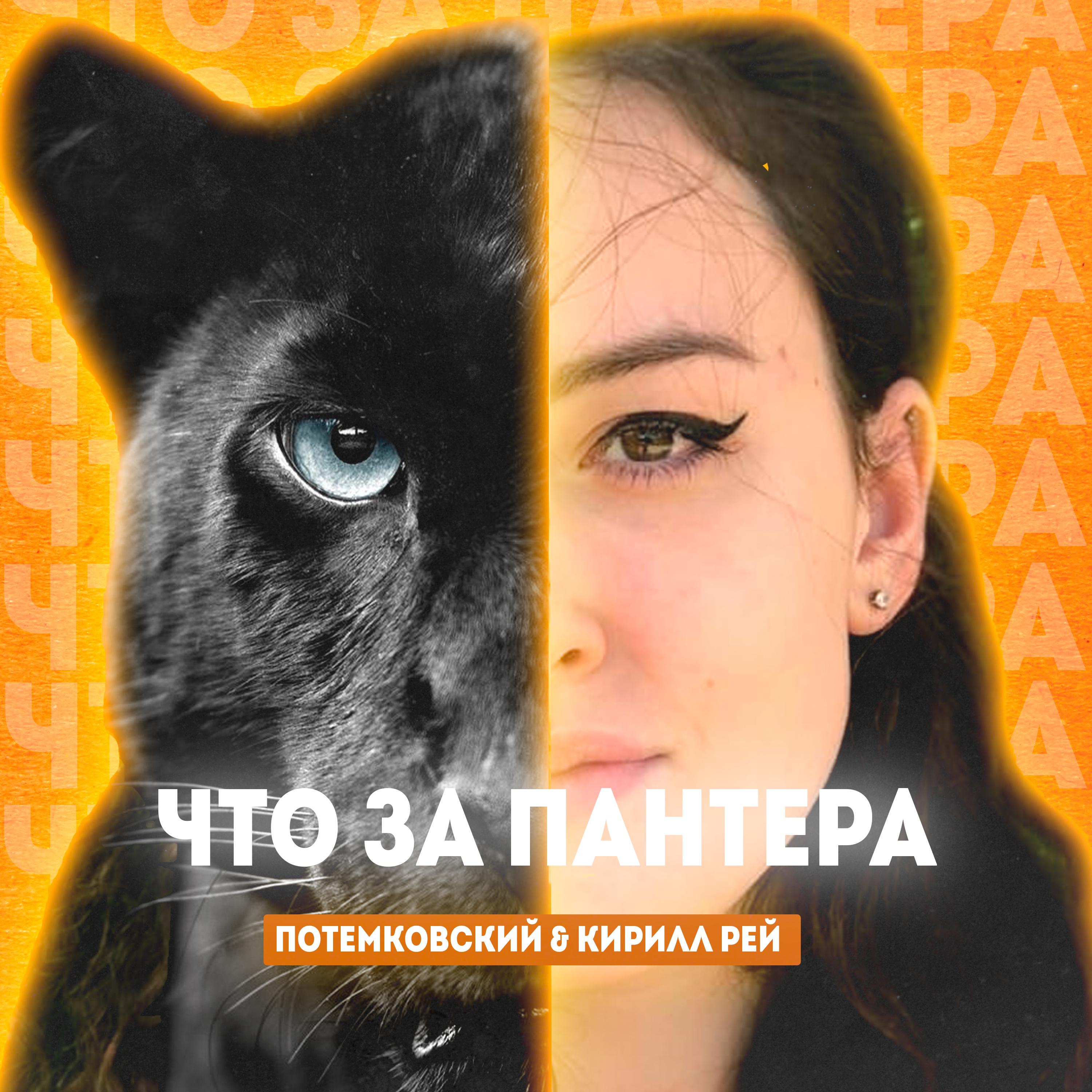 Постер альбома Что за пантера