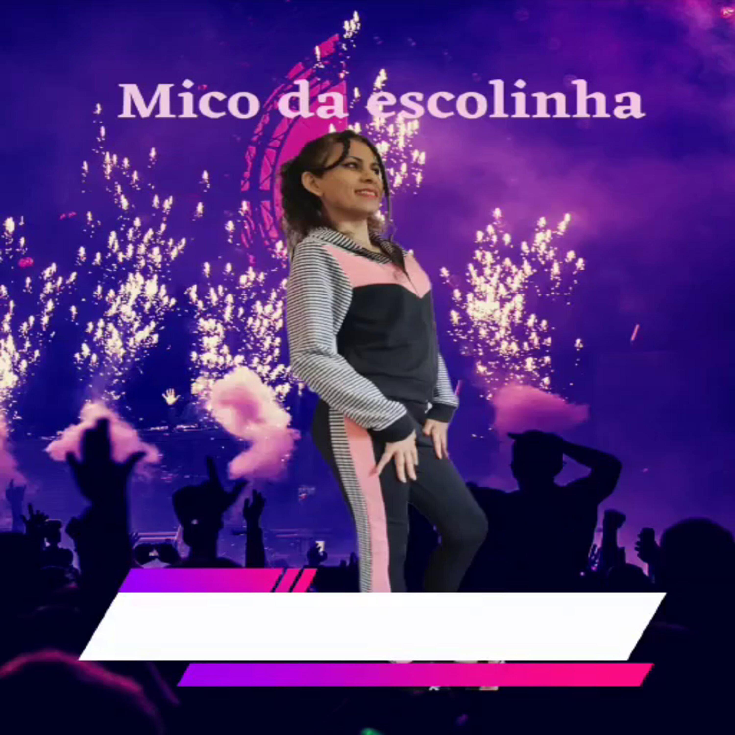 Постер альбома Mico da Escolinha