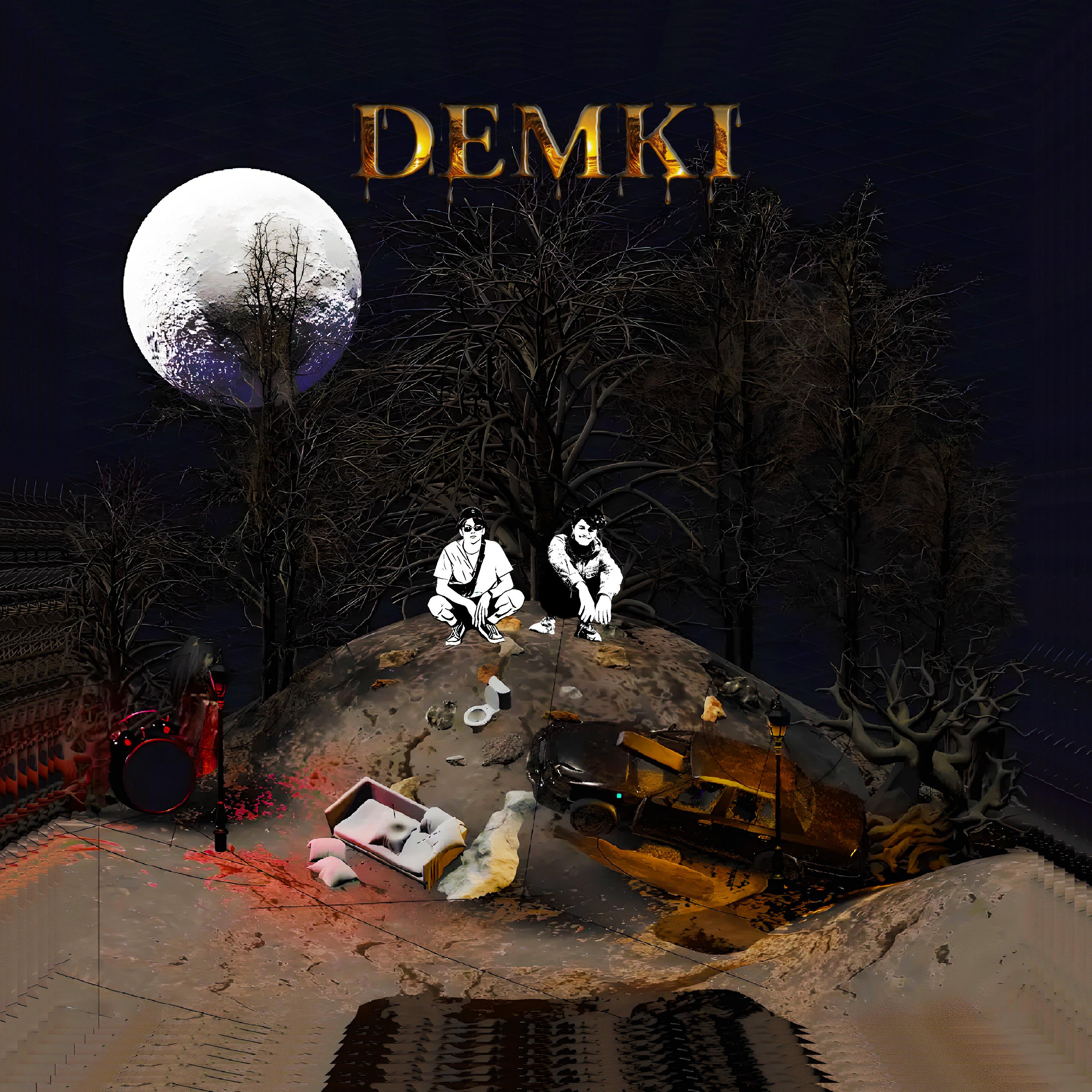 Постер альбома Demki