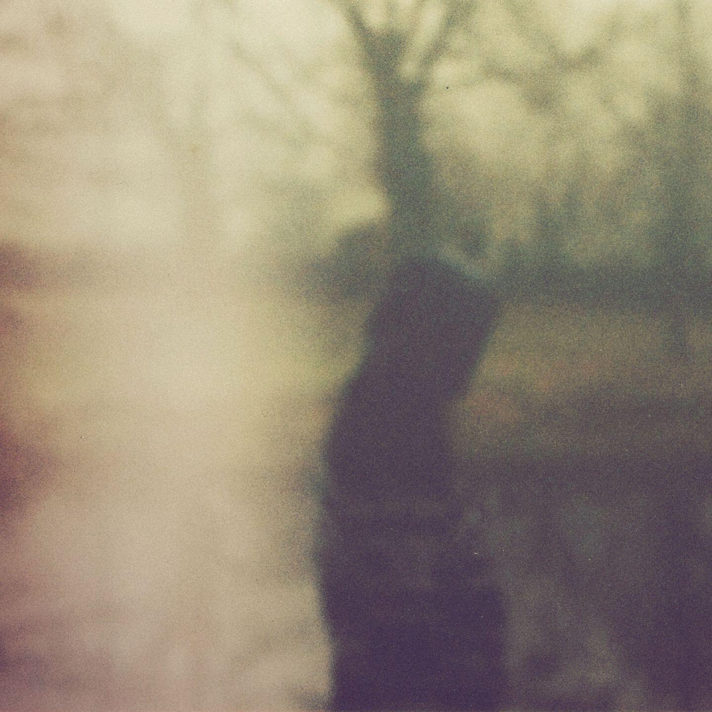 ESSAY - Morning Mountain