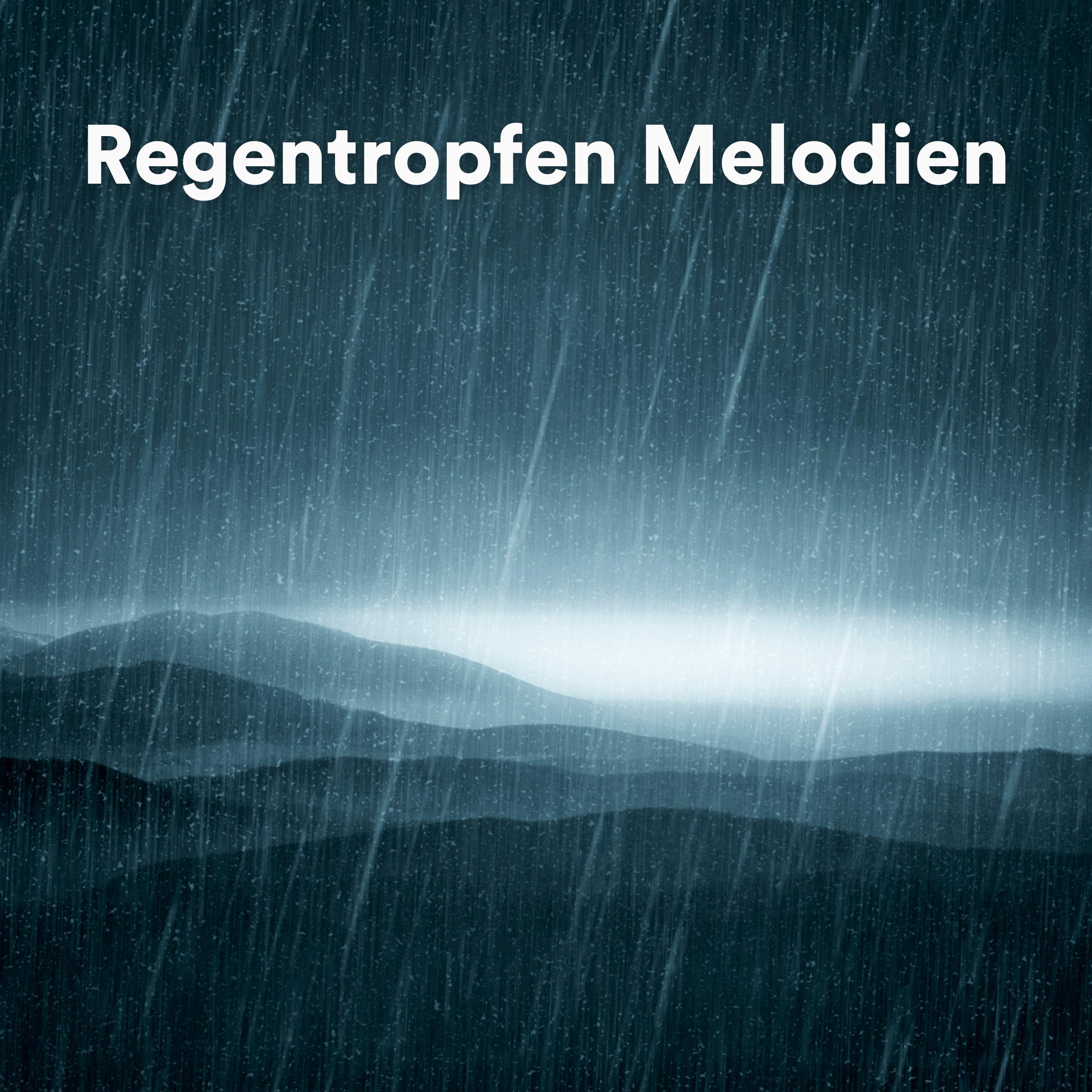 Постер альбома Regentropfen Melodien