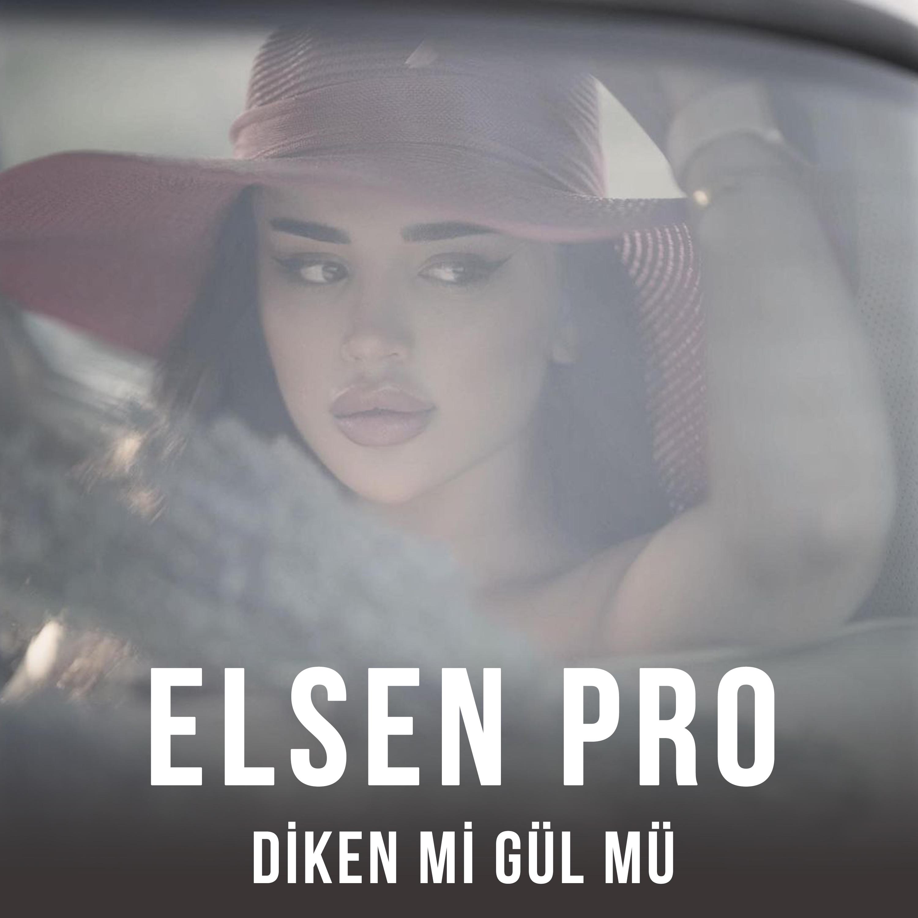 Постер альбома Diken Mi Gül Mü