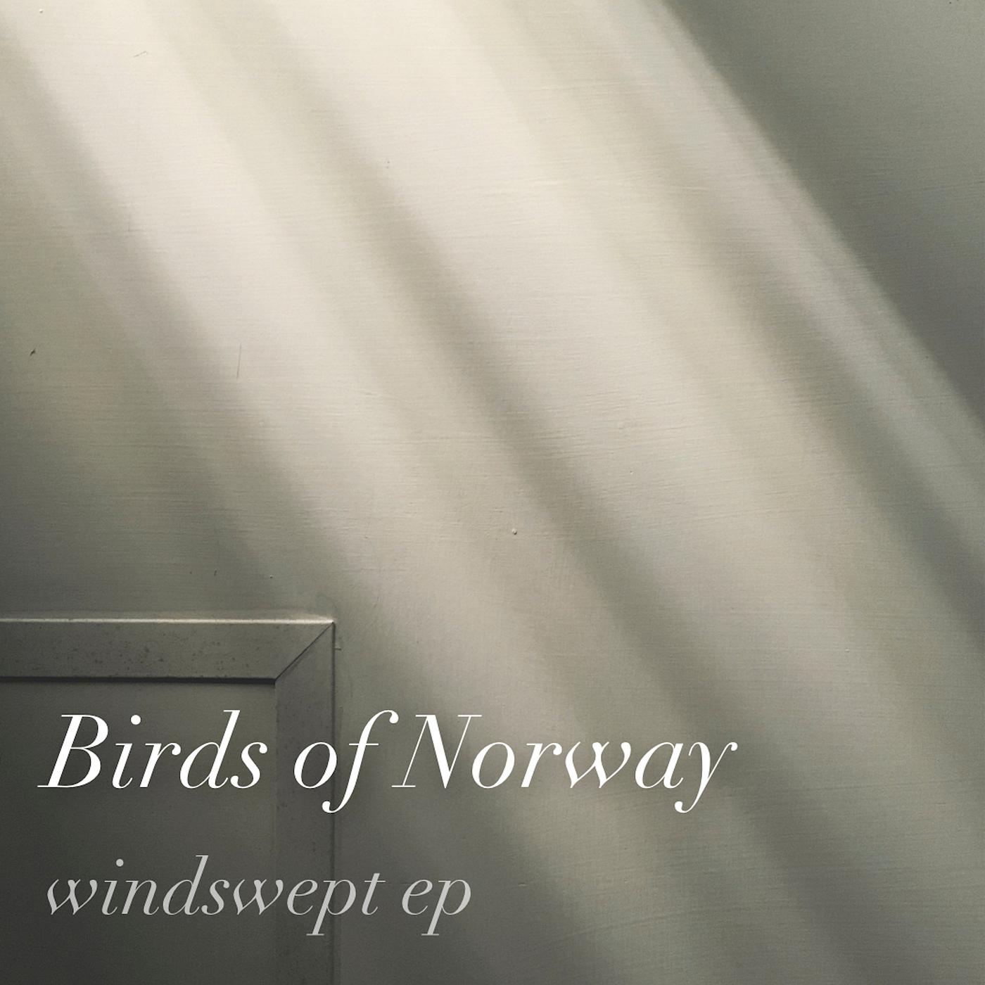 Постер альбома windswept - EP
