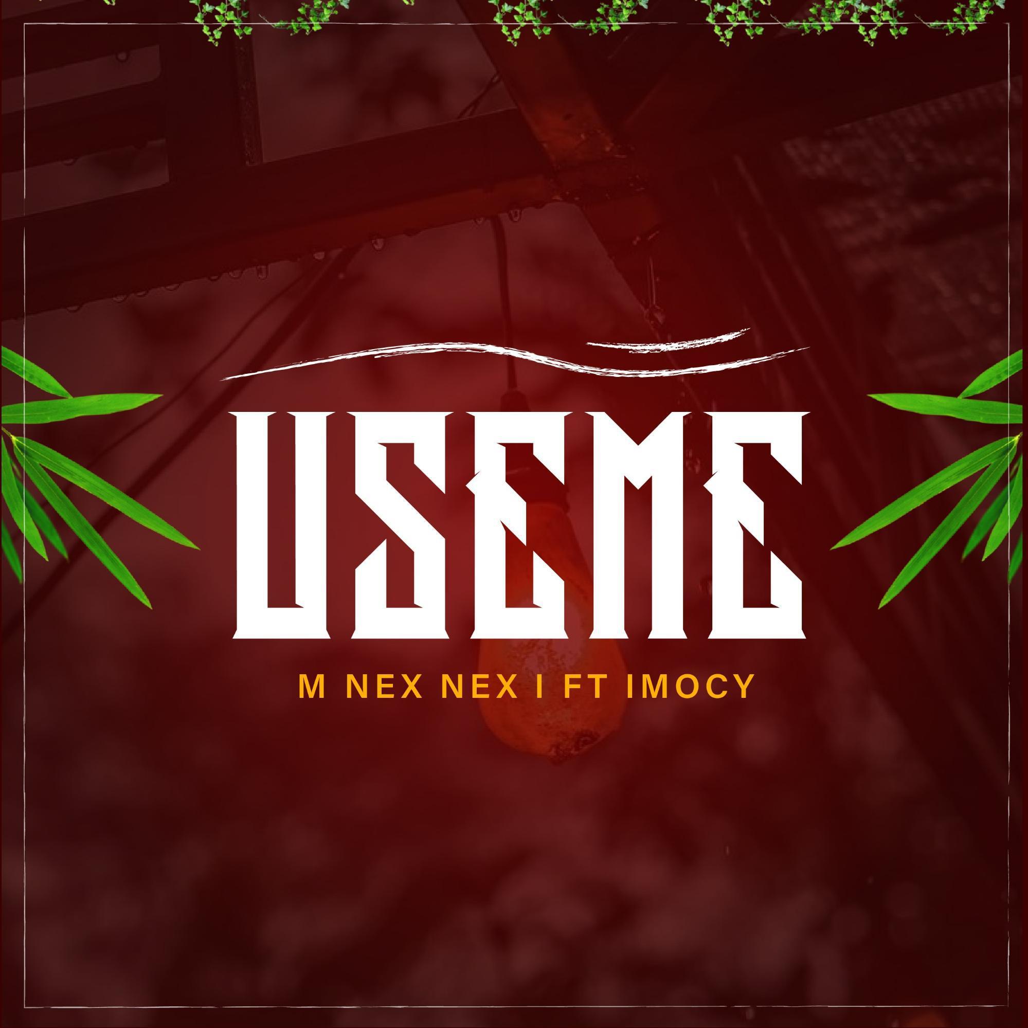 Постер альбома Useme (feat. Imocy)