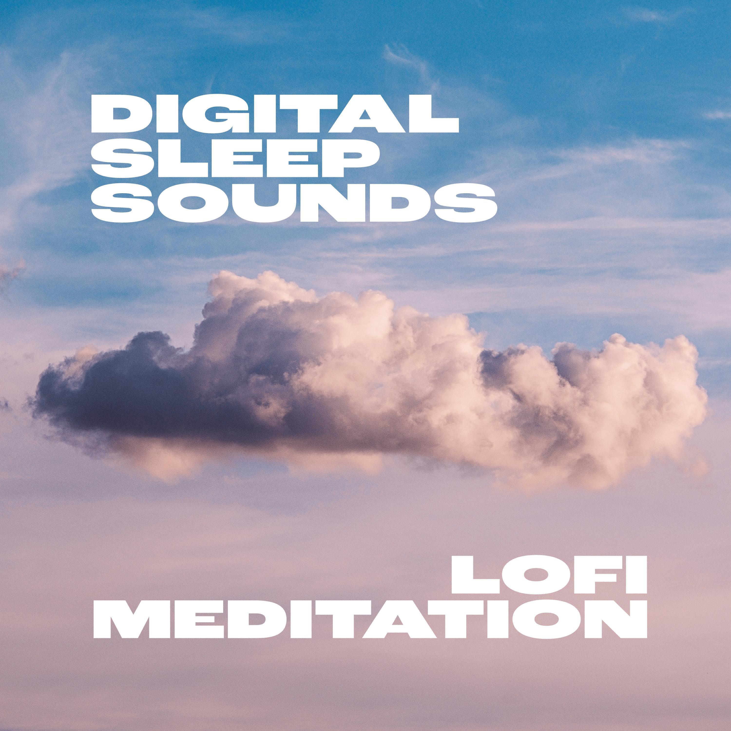 Постер альбома Lofi Meditation