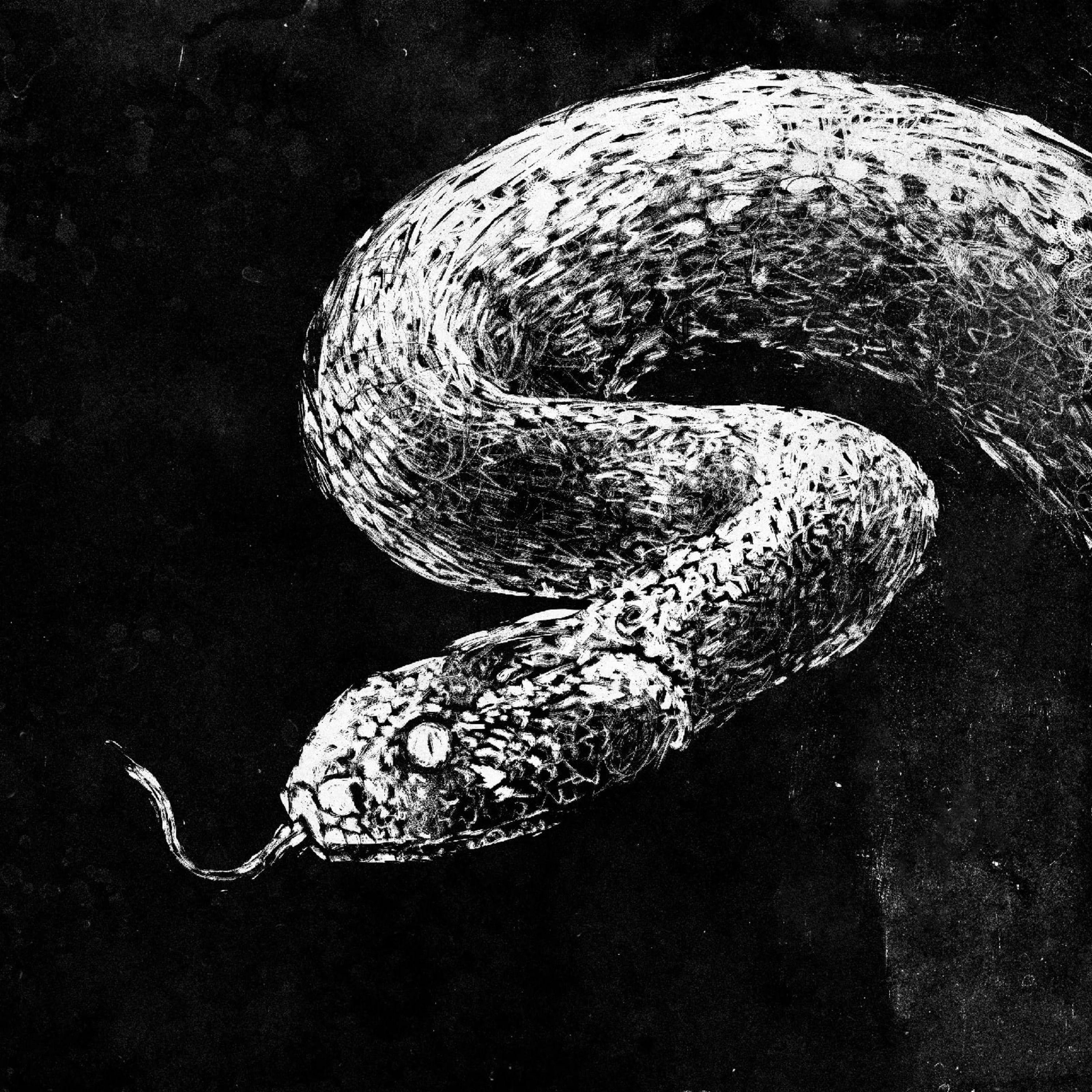 Постер альбома Venomous Snake