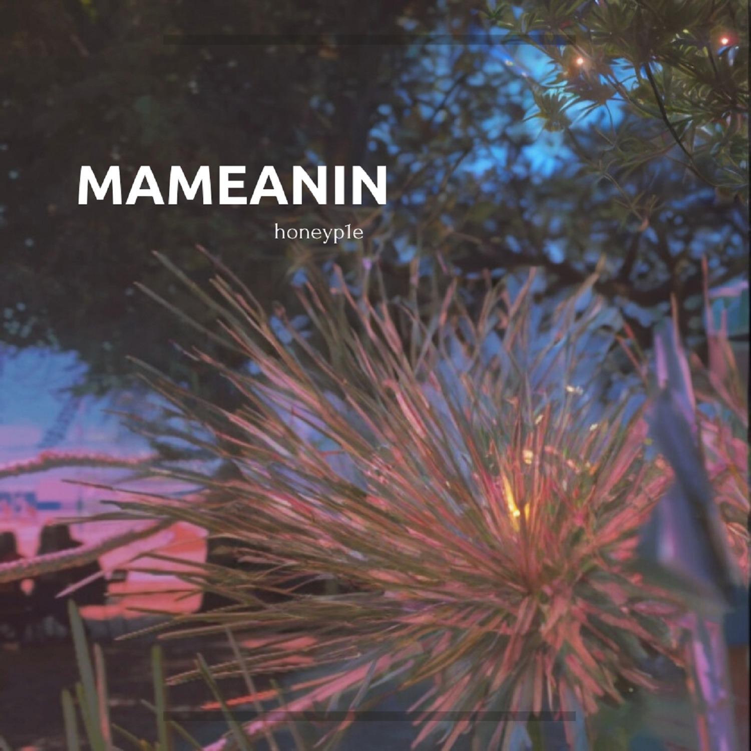 Постер альбома mameanin