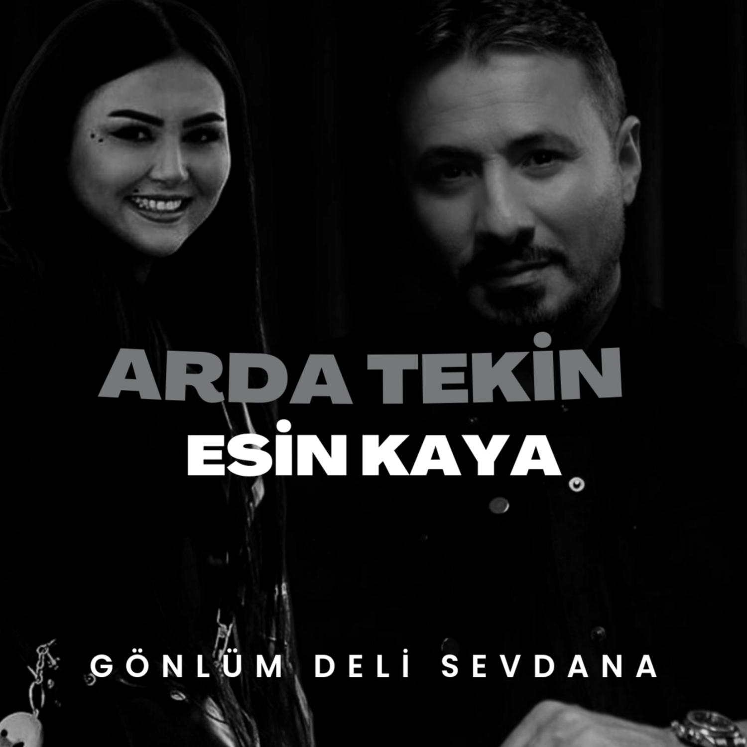 Постер альбома Gönlüm Deli Sevdana
