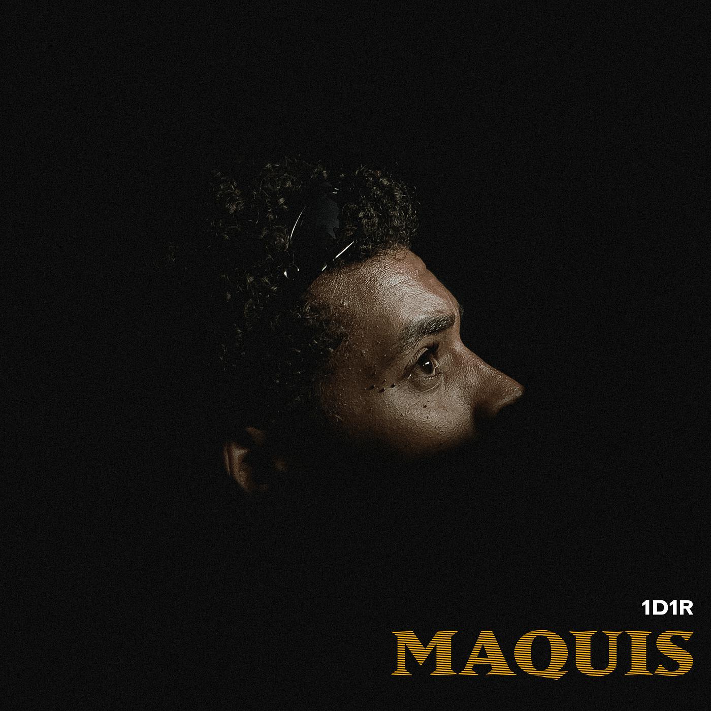 Постер альбома Maquis