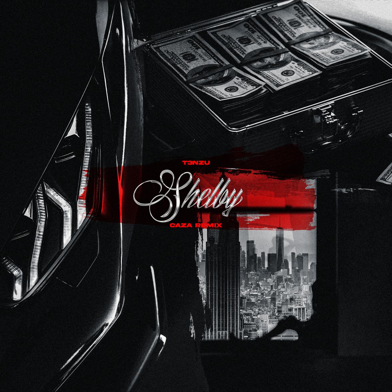 Постер альбома Shelby (CAZA Remix)