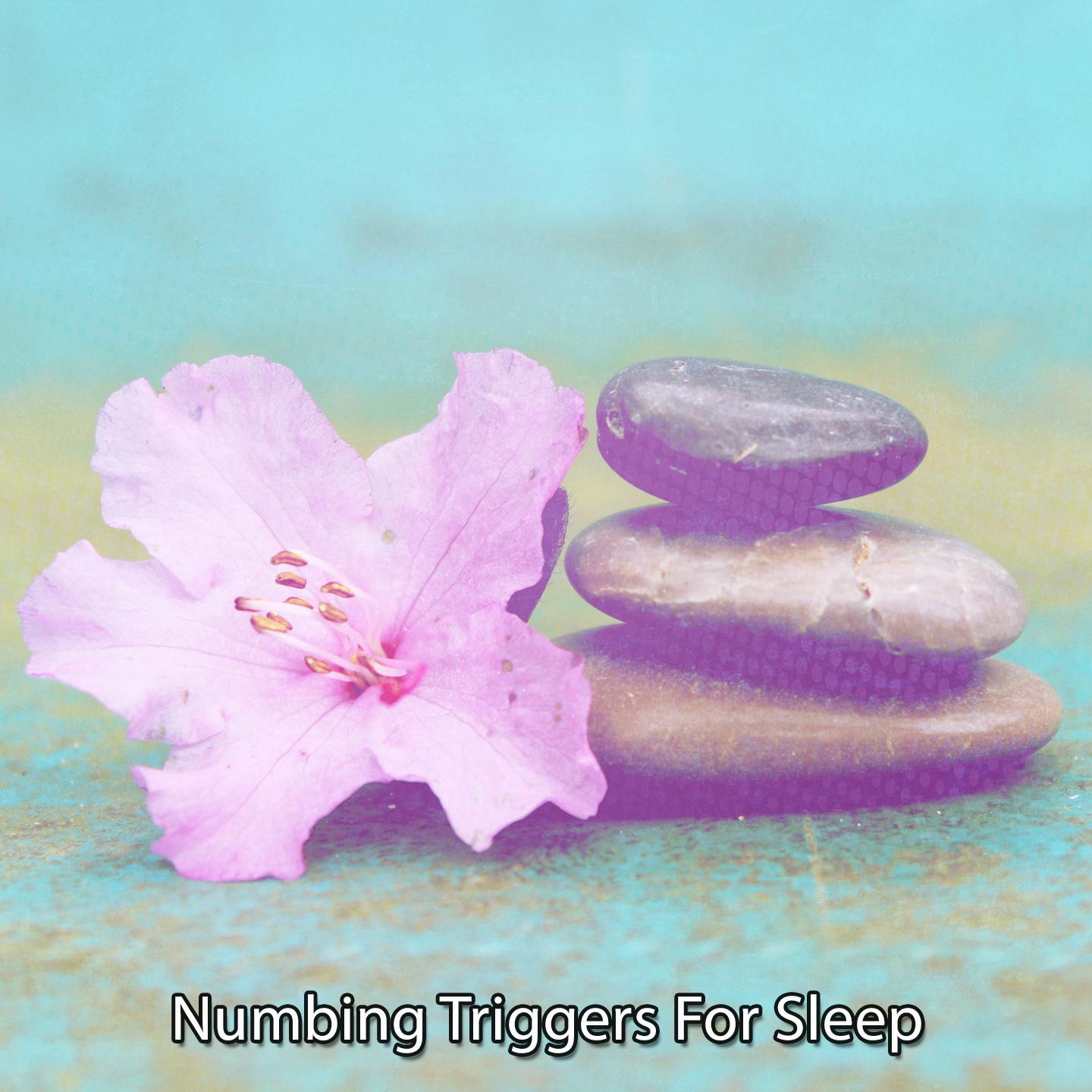 Постер альбома Numbing Triggers For Sleep