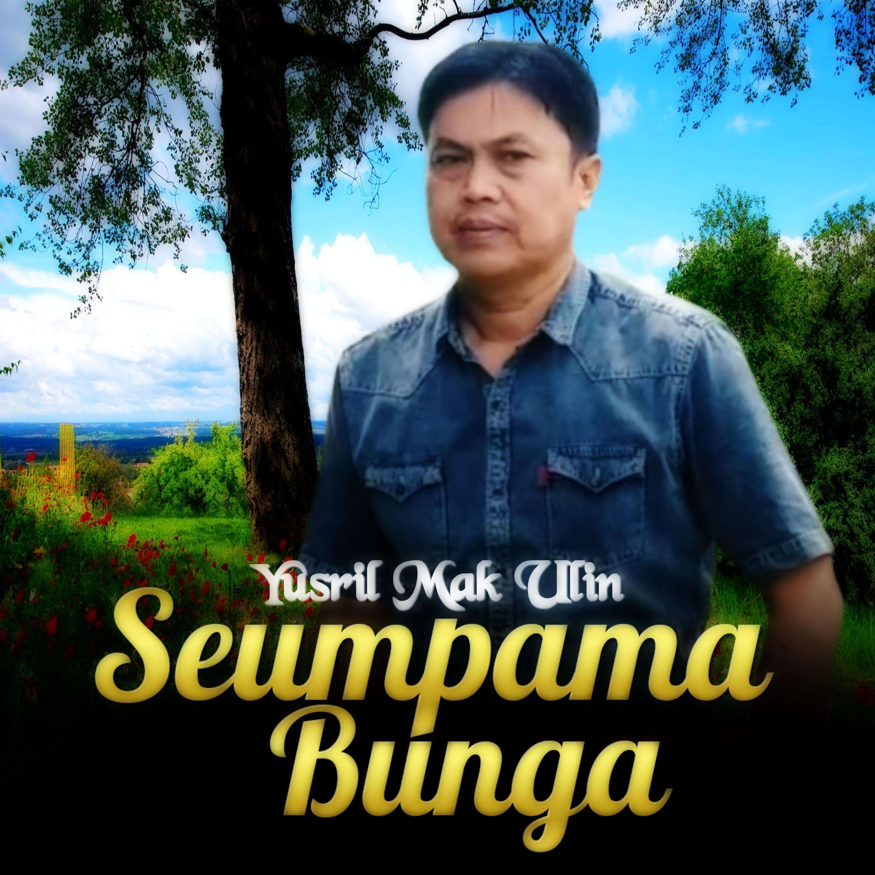 Постер альбома Seumpama Bunga