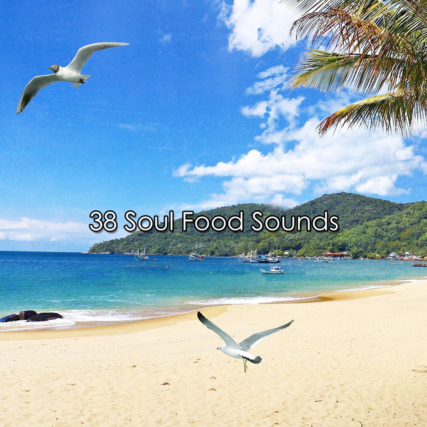 Постер альбома 38 Soul Food Sounds