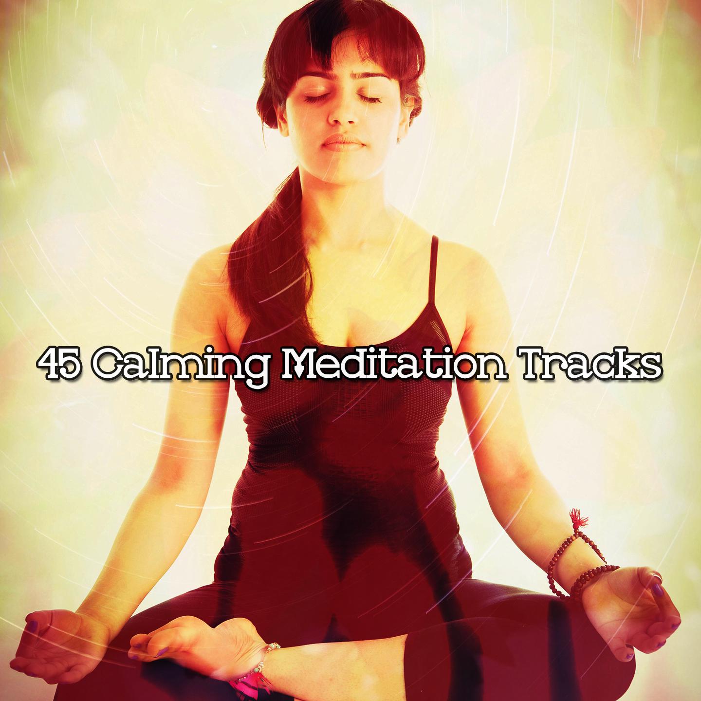 Постер альбома 45 Calming Meditation Tracks