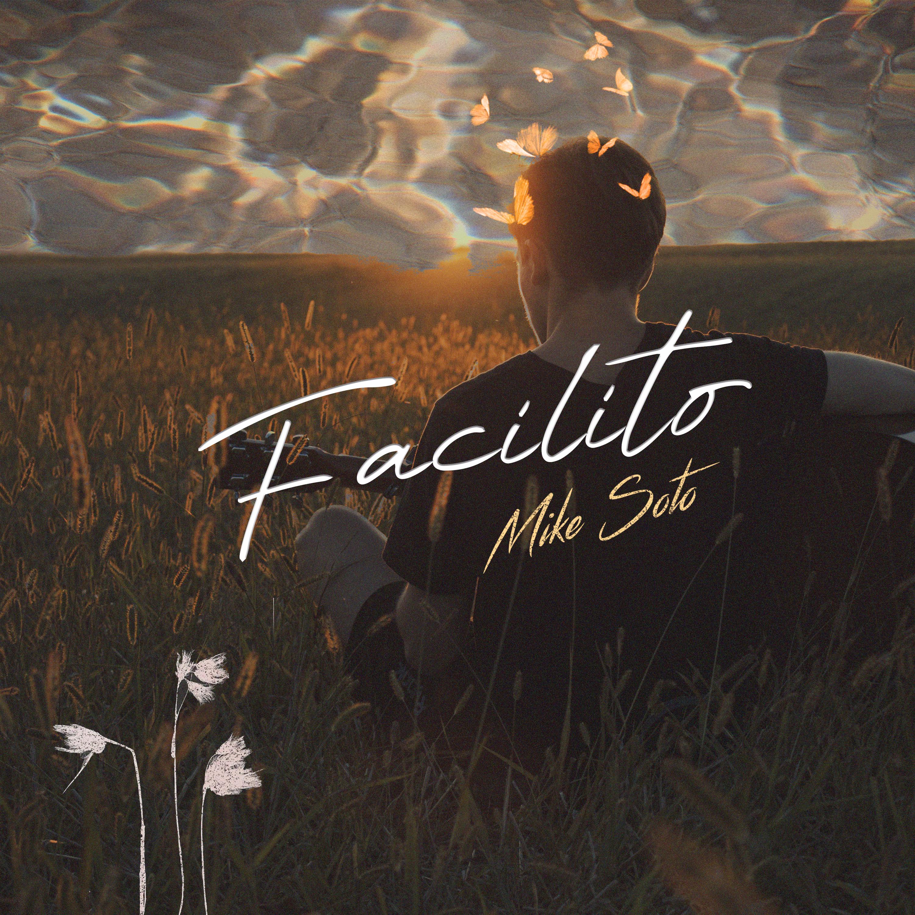 Постер альбома Facilito