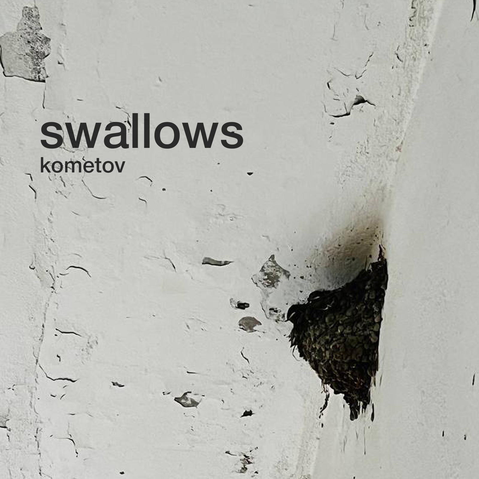 Постер альбома Swallows