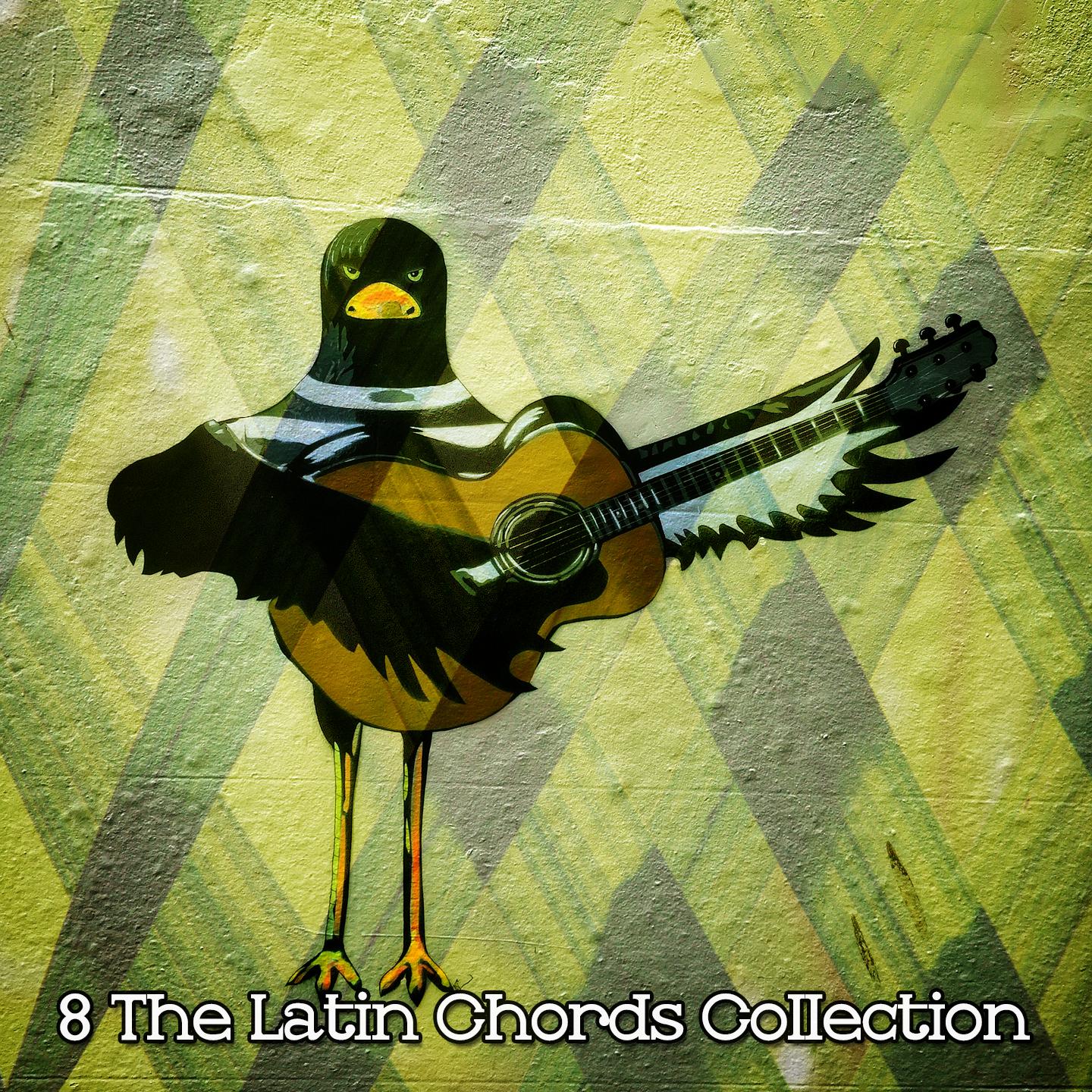 Постер альбома 8 The Latin Chords Collection