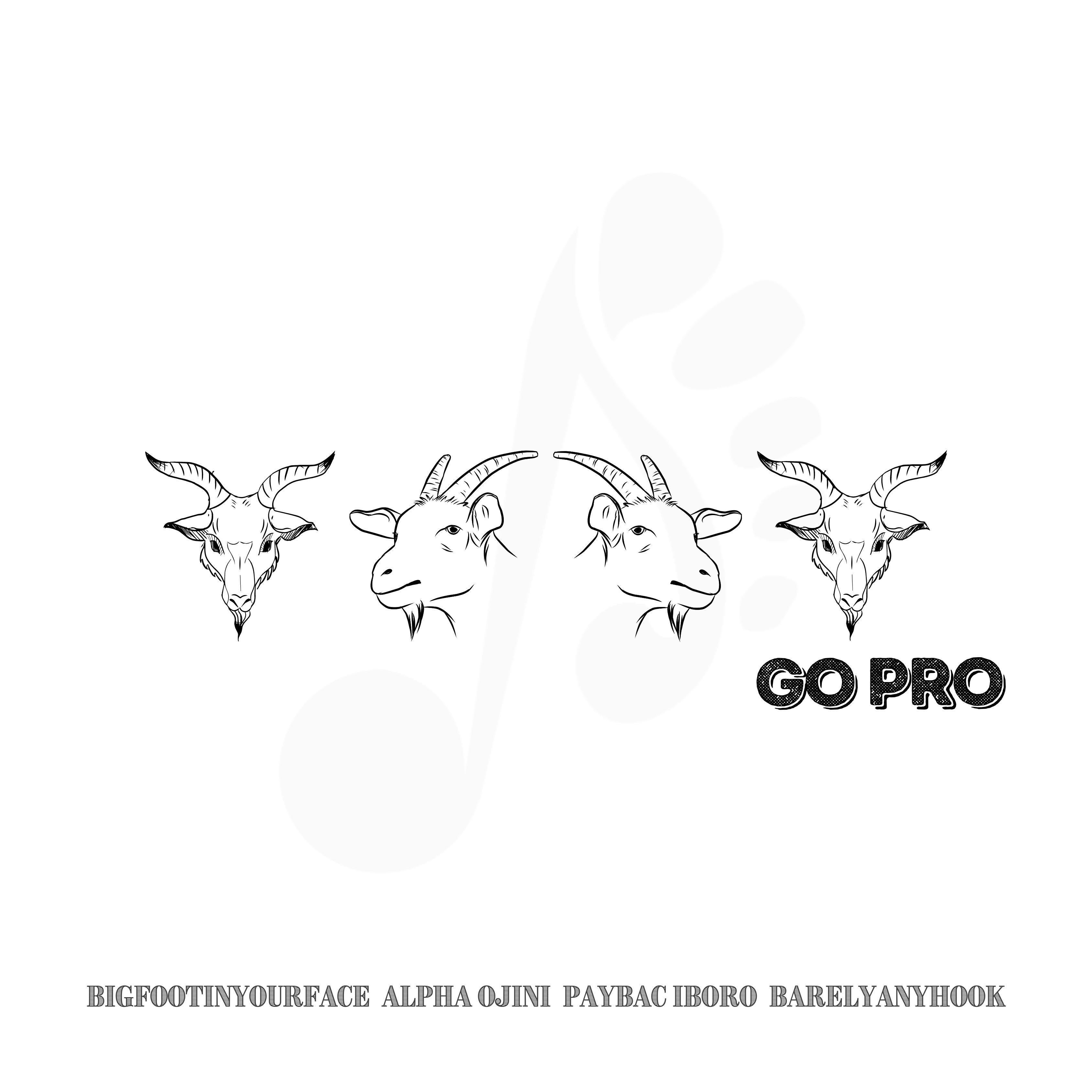 Постер альбома Go Pro