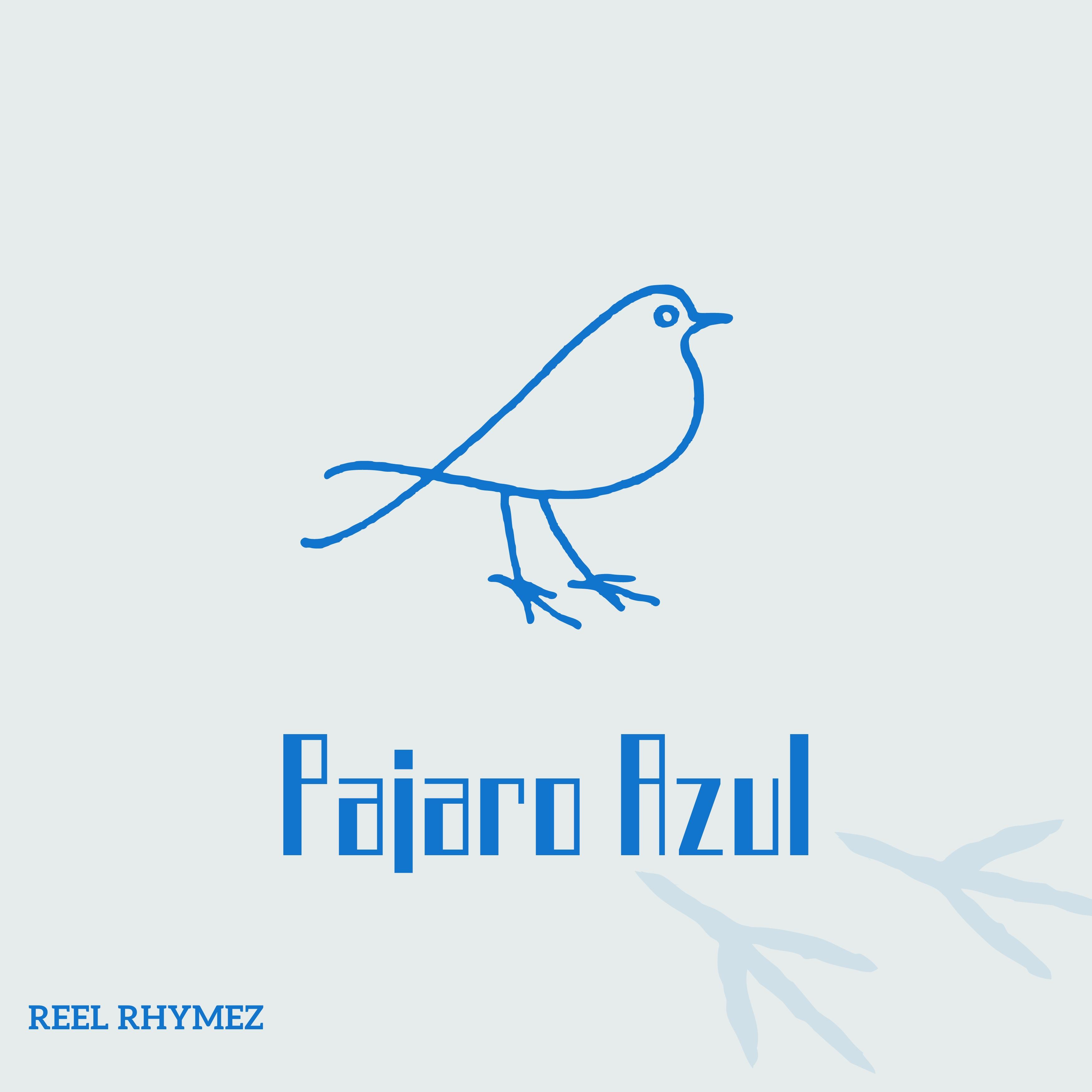 Постер альбома Pajaro Azul