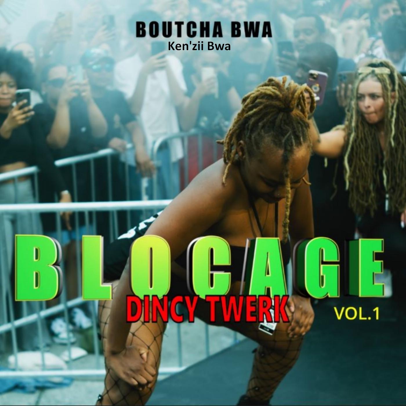 Постер альбома Dincy Twerk Blocage Vol.1