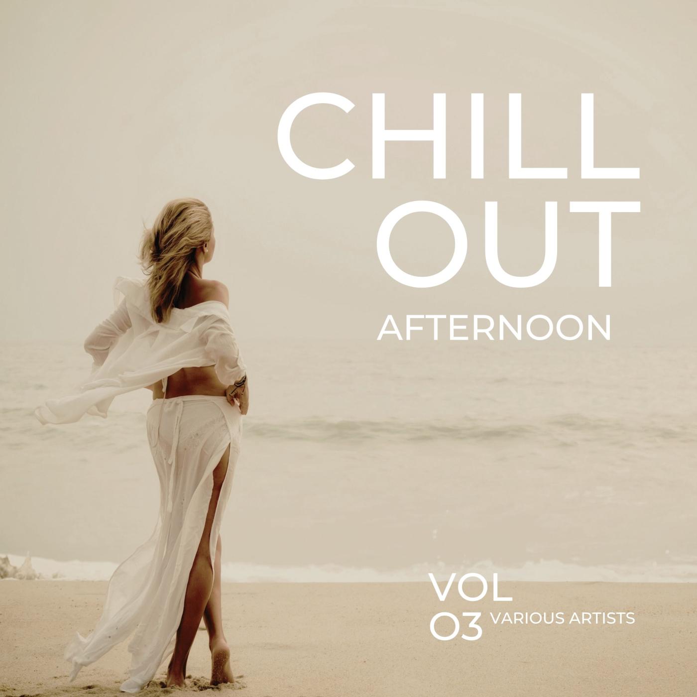 Постер альбома Chill Out Afternoon, Vol. 3