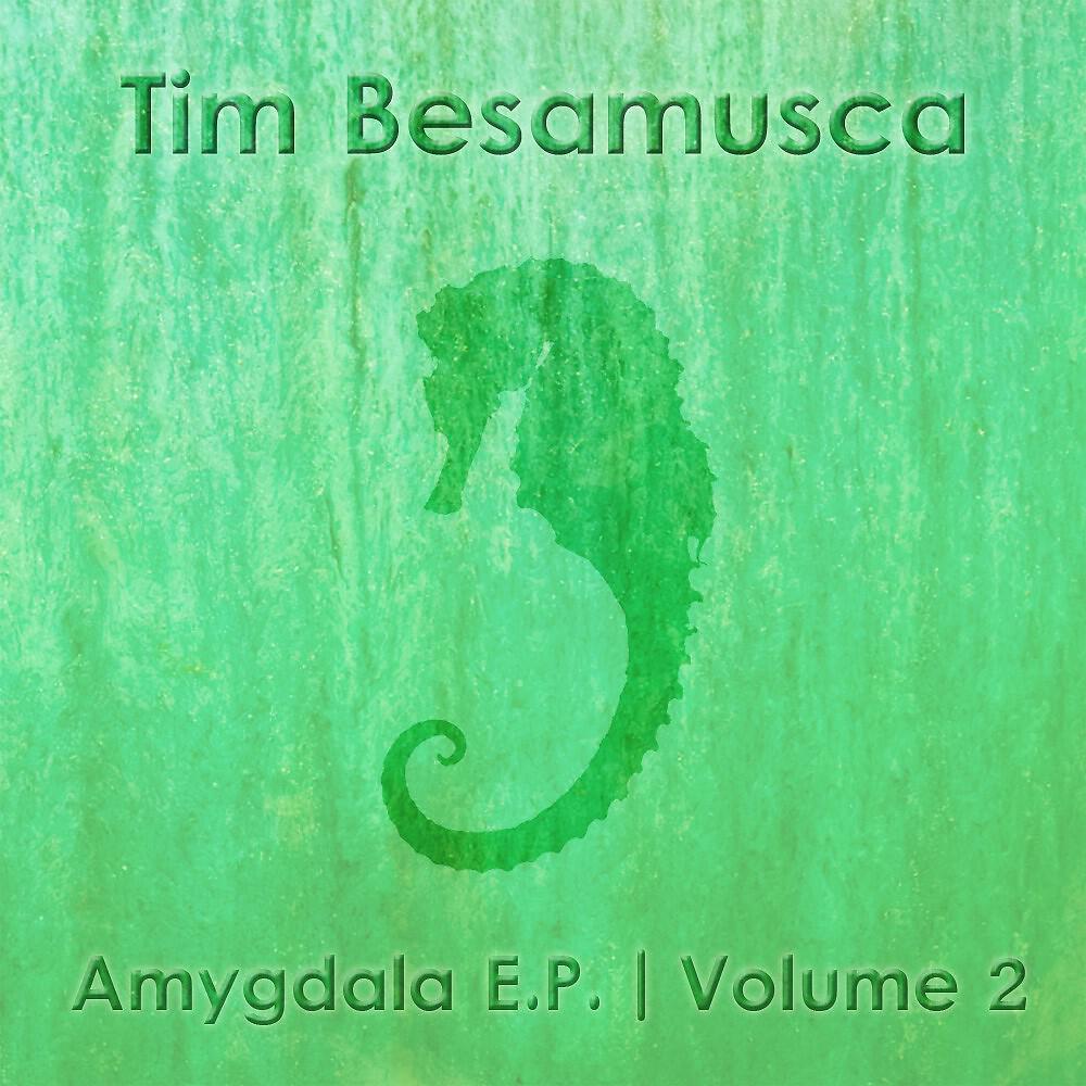 Tim Besamusca - Critical State (Chillout Mix)