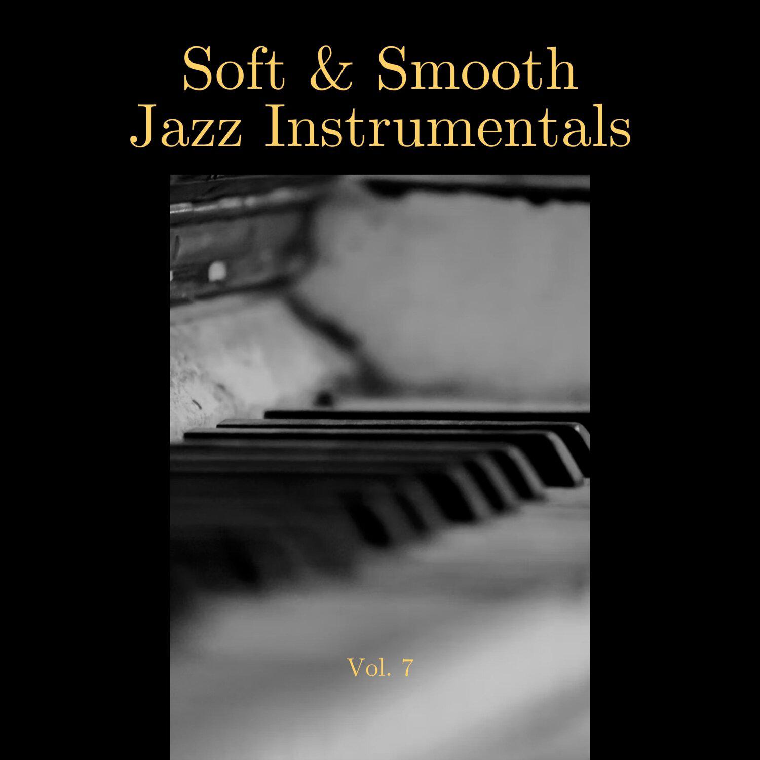 Постер альбома Soft & Smooth Jazz Instrumentals, Vol. 07