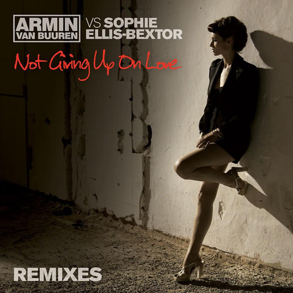 Постер альбома Not Giving up on Love (Remixes)